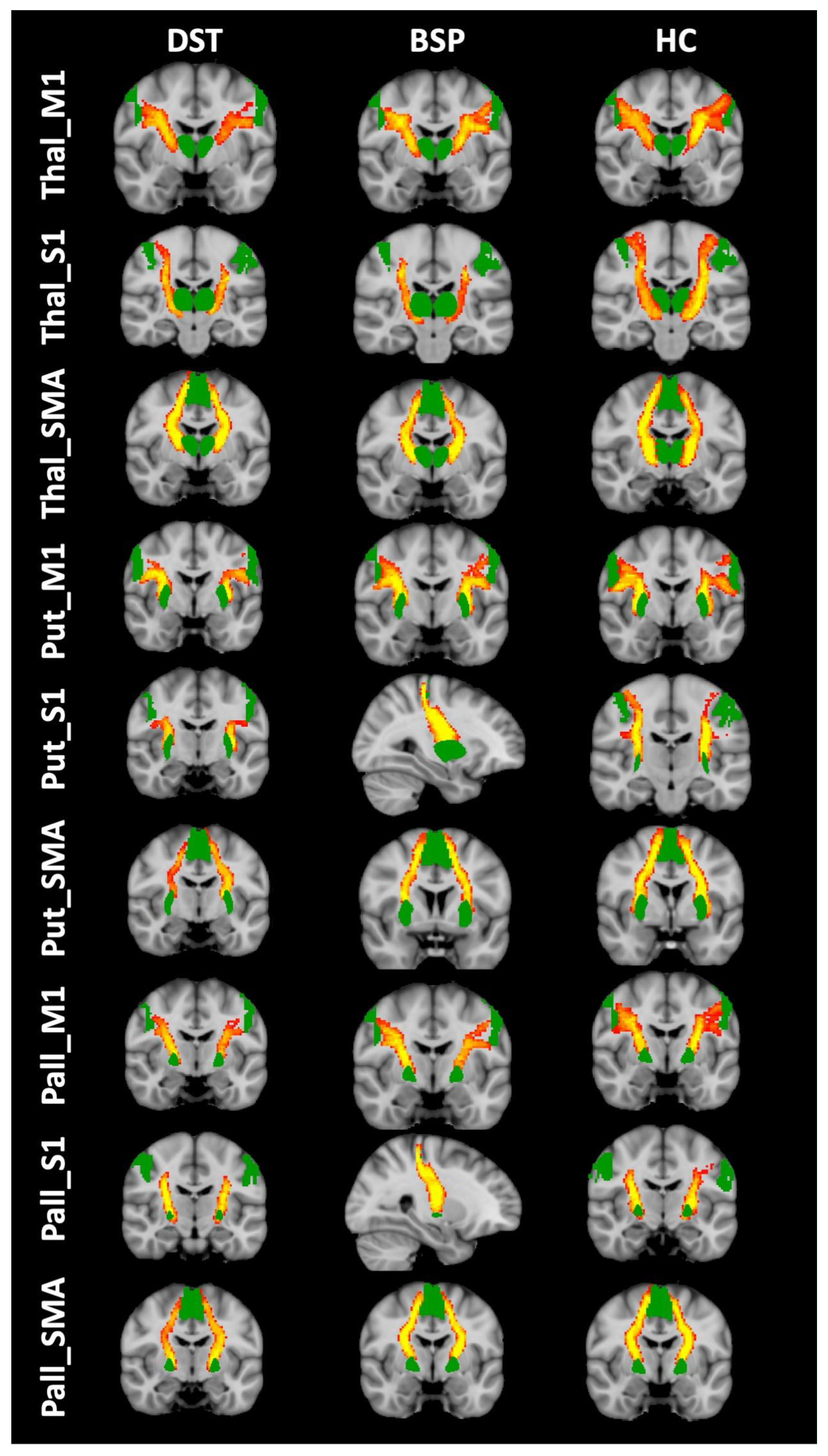 Biomedicines 11 00753 g001