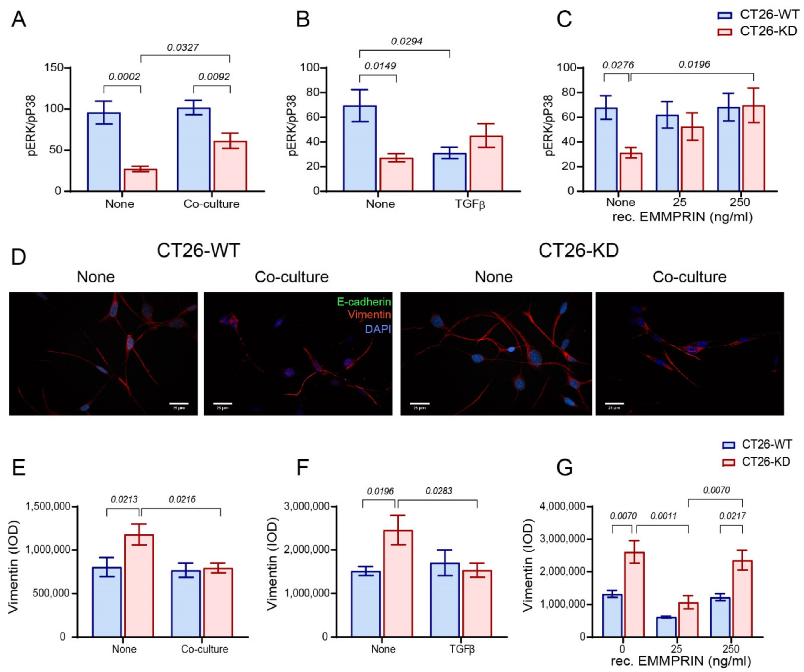 Biomedicines 11 00768 g003 Biomedicines 11 00768 g003