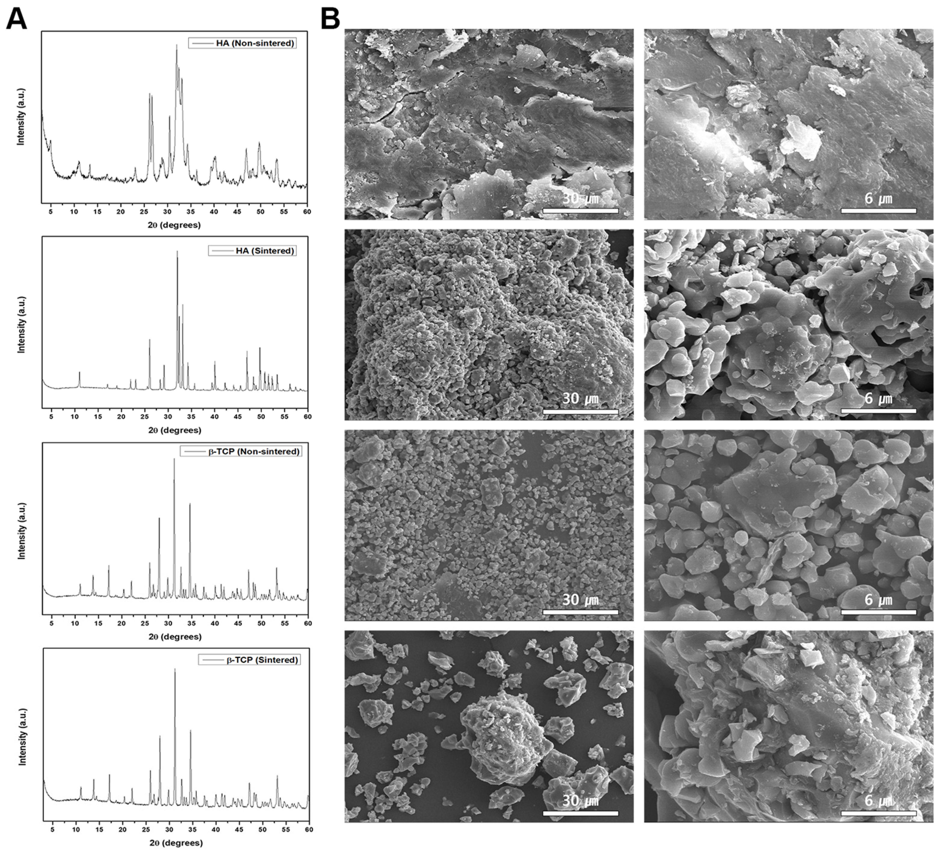 Biomedicines 11 00785 g001 Biomedicines 11 00785 g001