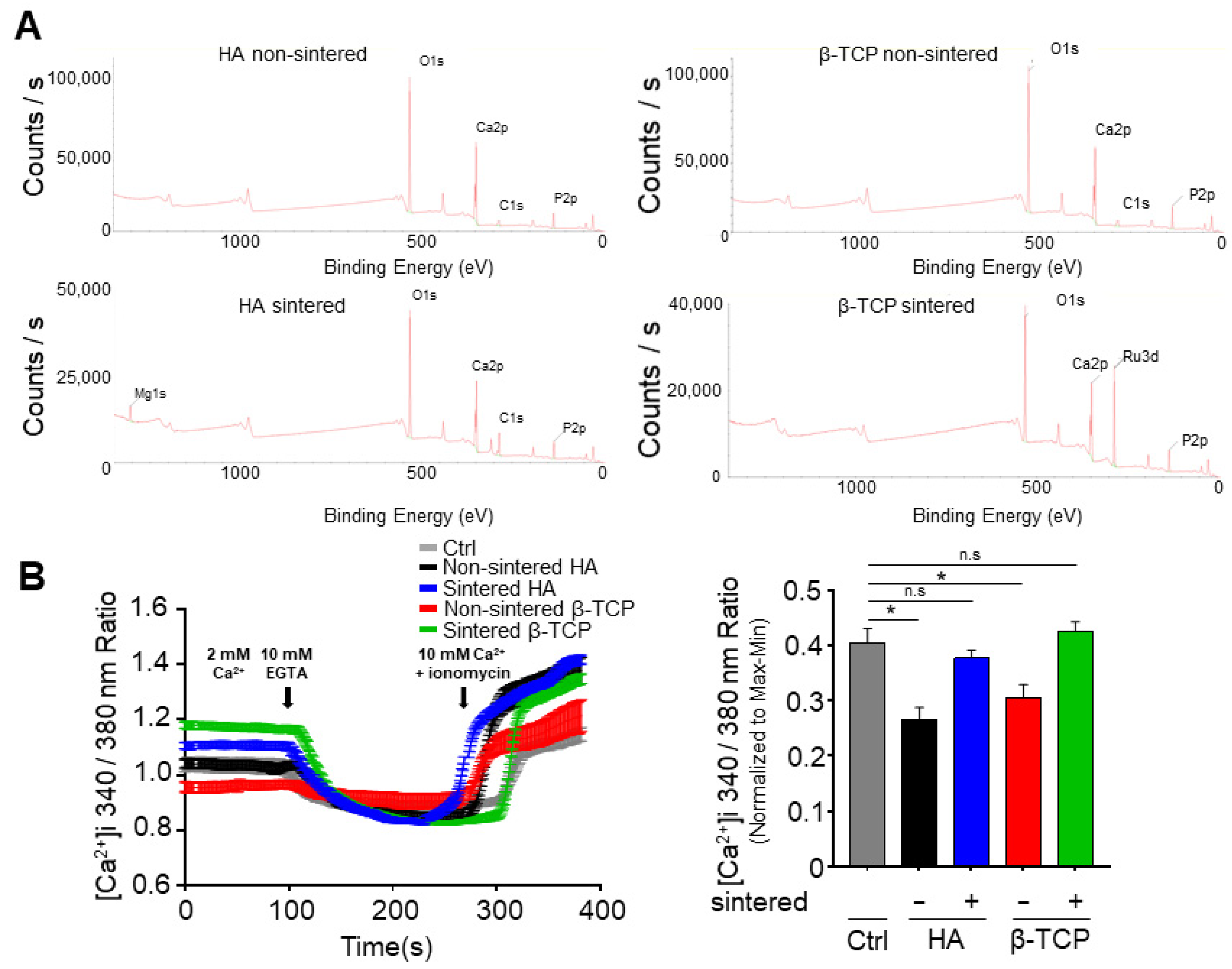 Biomedicines 11 00785 g002 Biomedicines 11 00785 g002