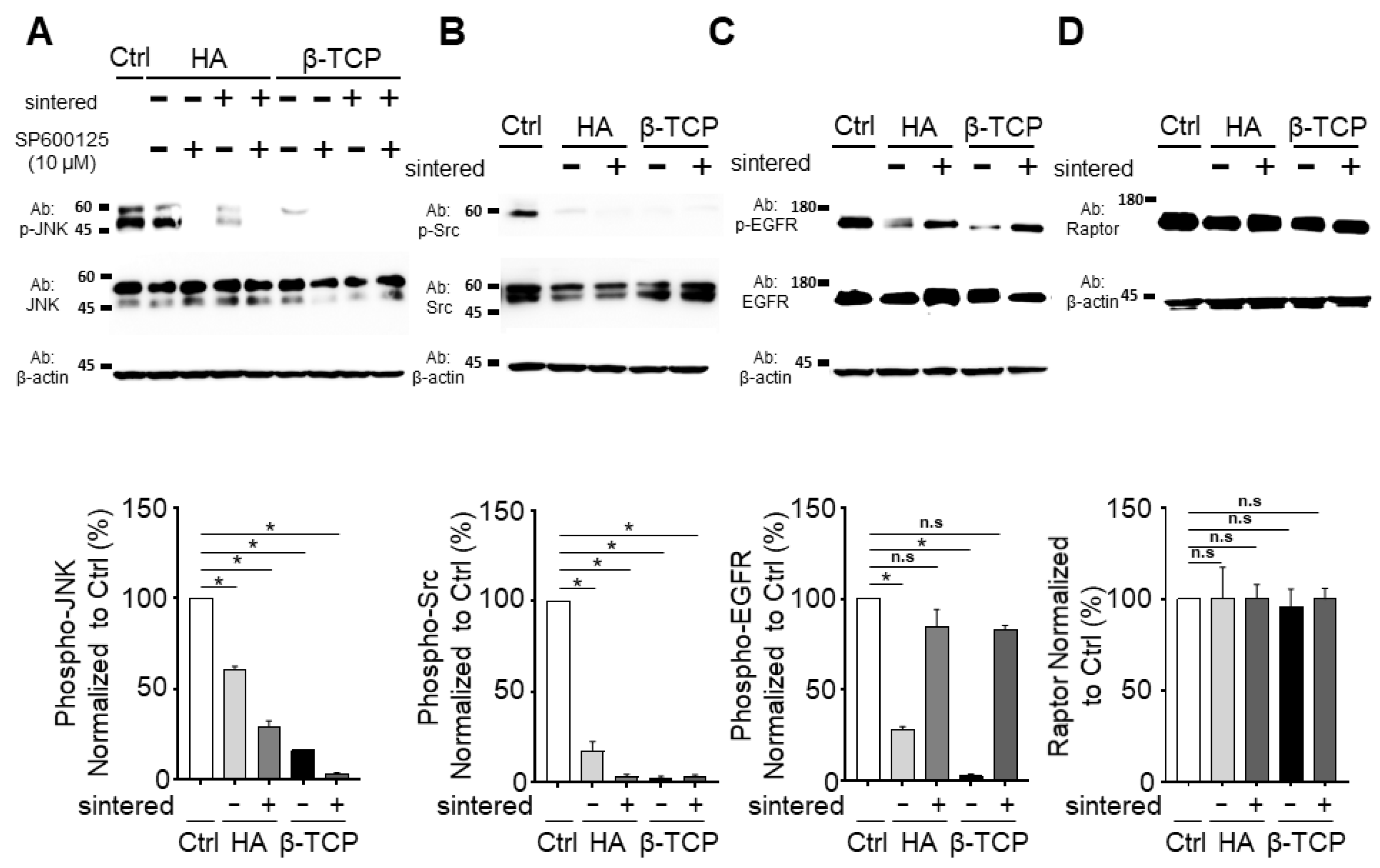 Biomedicines 11 00785 g003 Biomedicines 11 00785 g003
