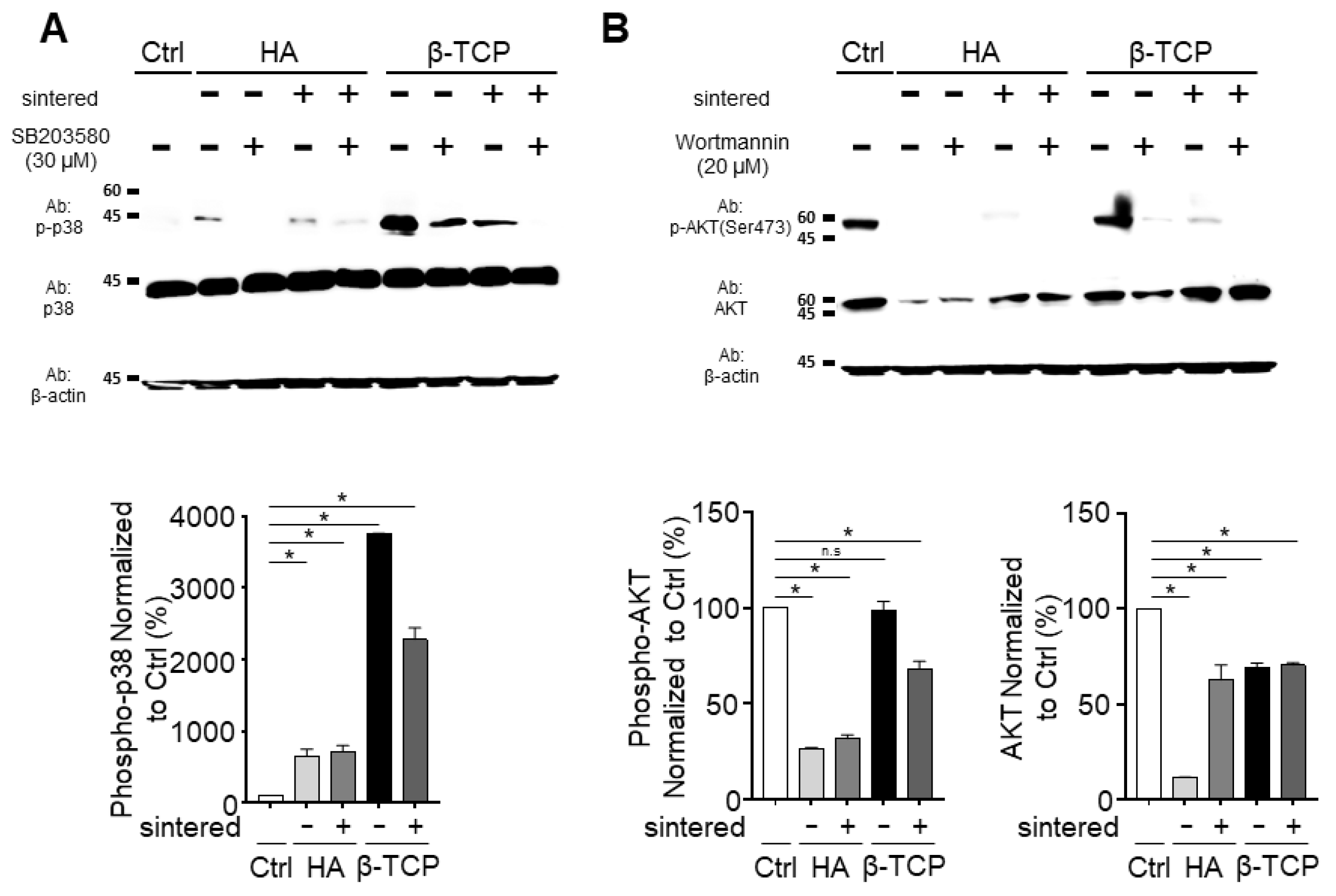 Biomedicines 11 00785 g004 Biomedicines 11 00785 g004