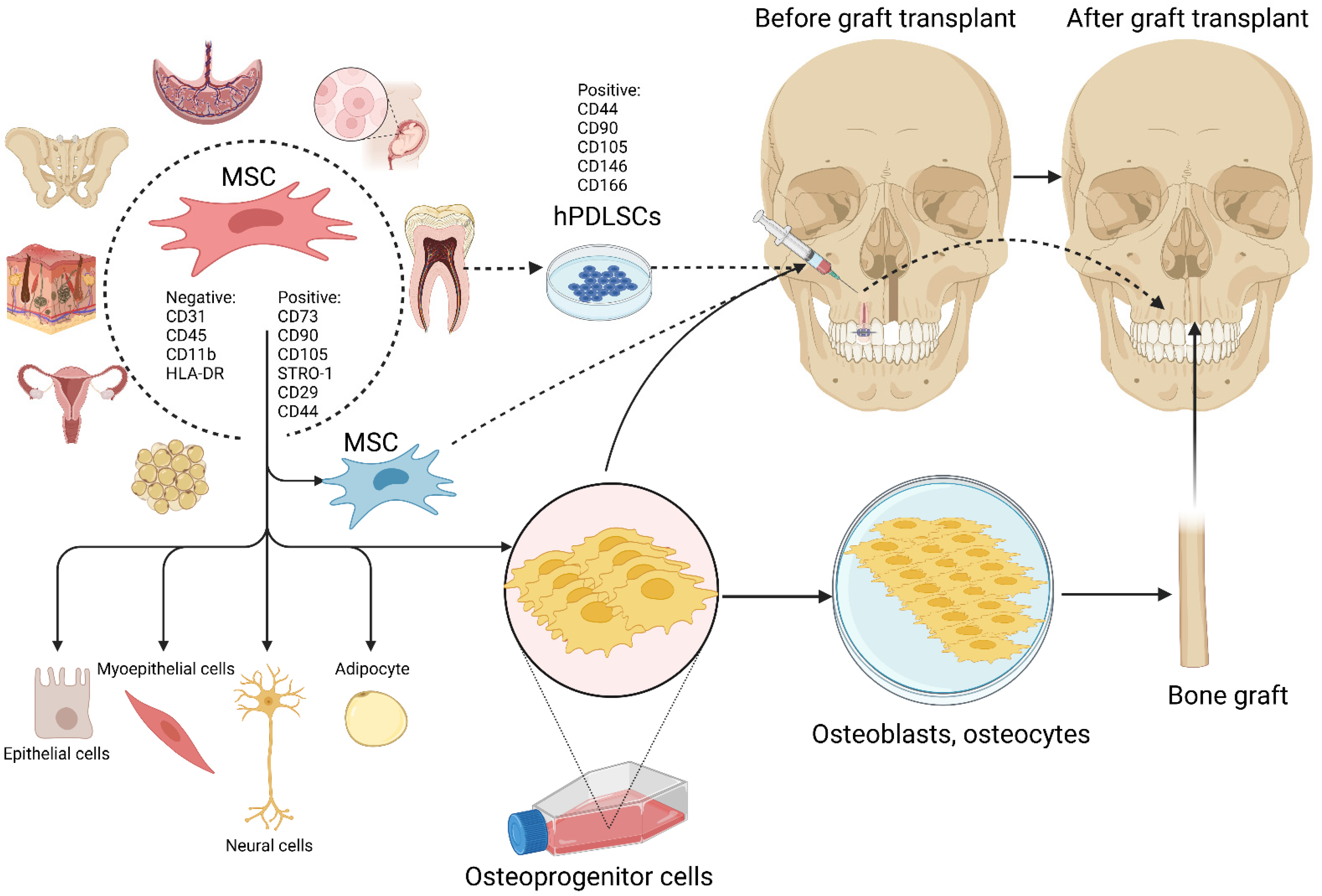 Biomedicines 11 00795 g002 Biomedicines 11 00795 g002