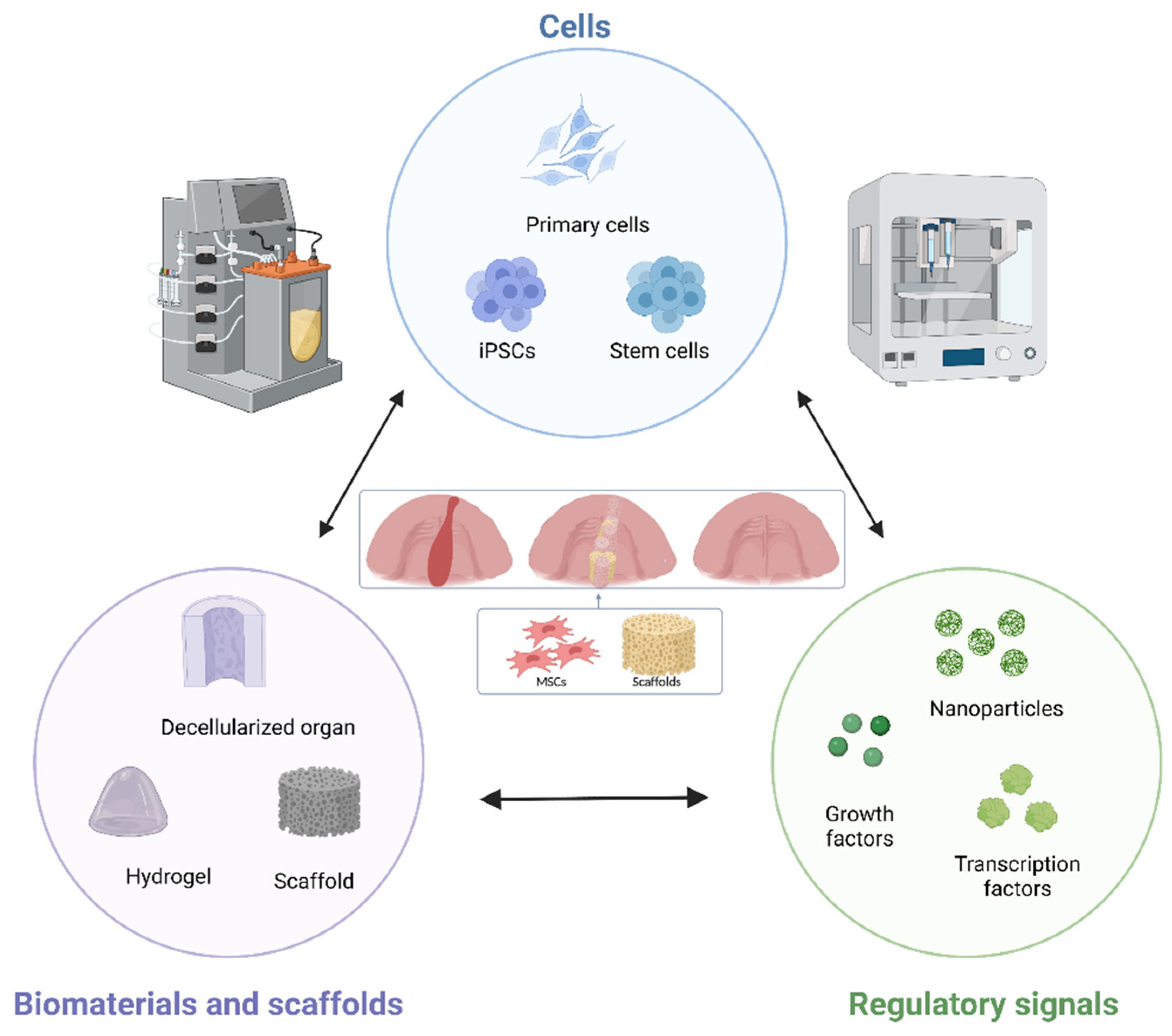 Biomedicines 11 00795 g003 Biomedicines 11 00795 g003