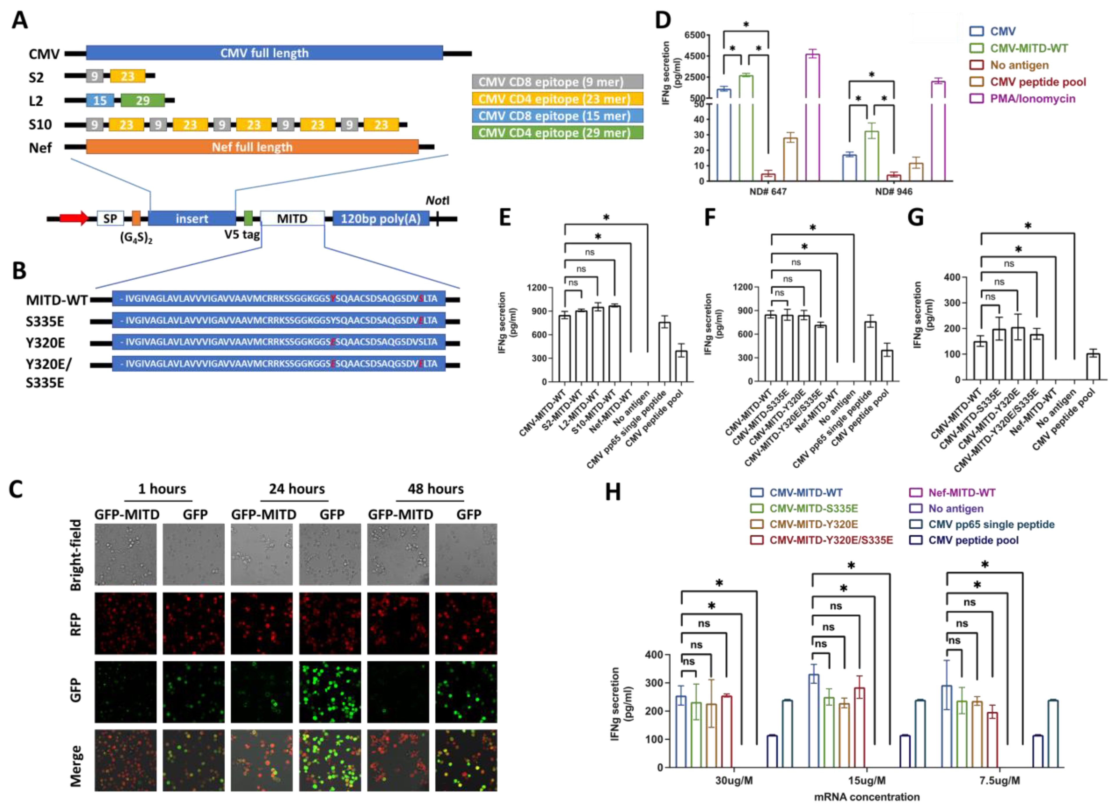 Biomedicines 11 00796 g002