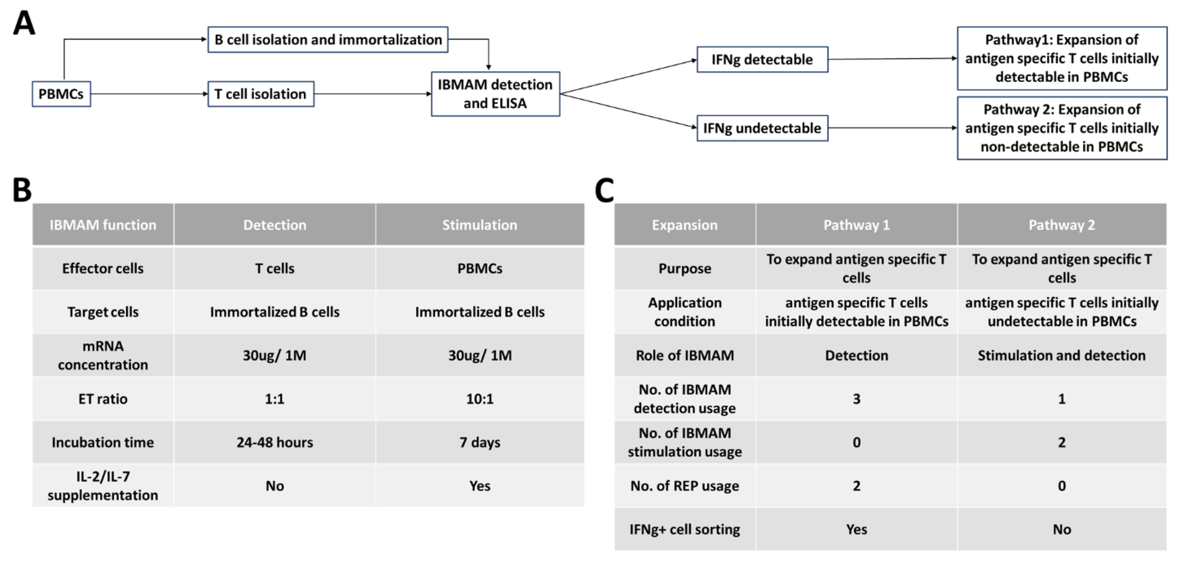 Biomedicines 11 00796 g004
