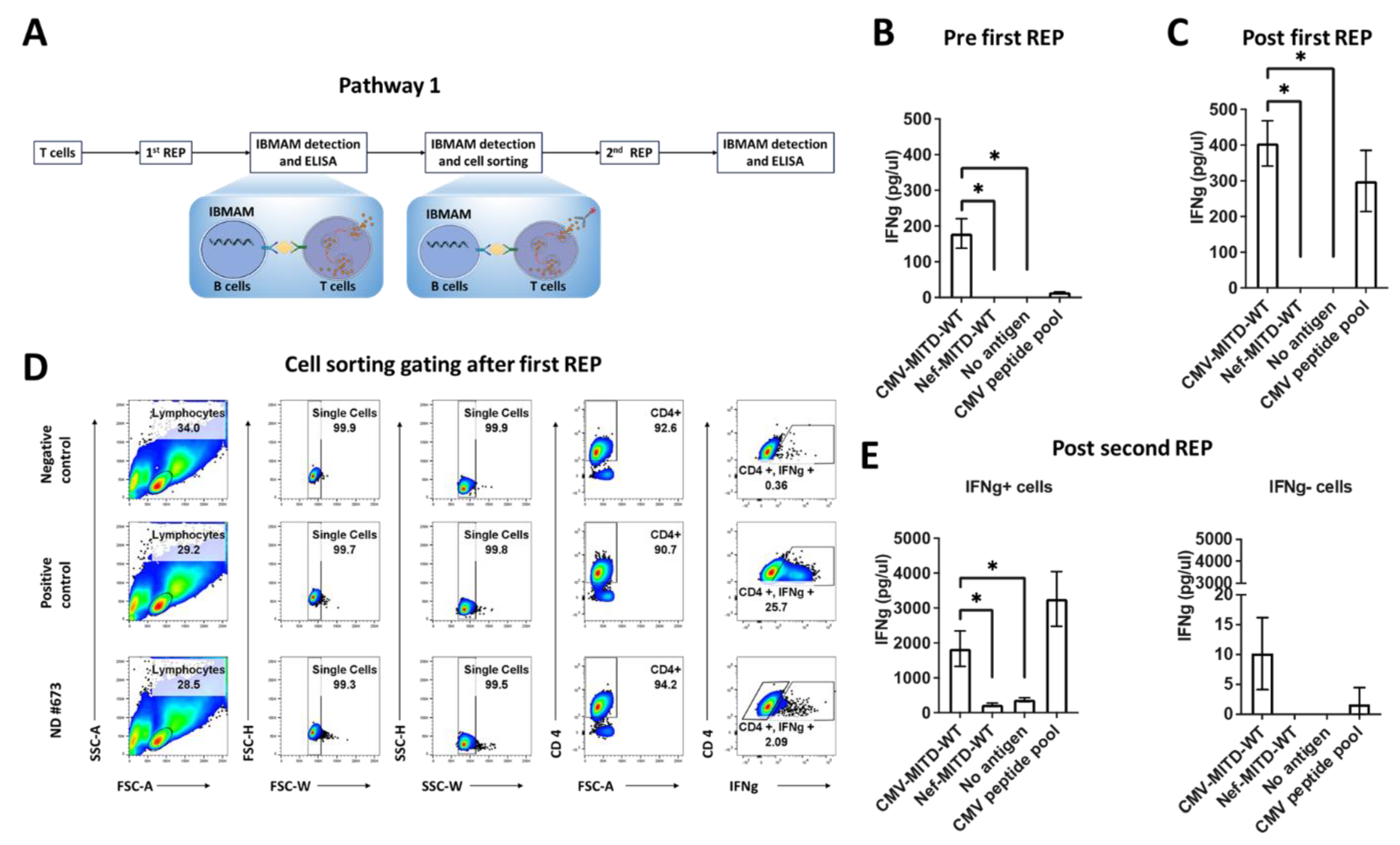Biomedicines 11 00796 g005
