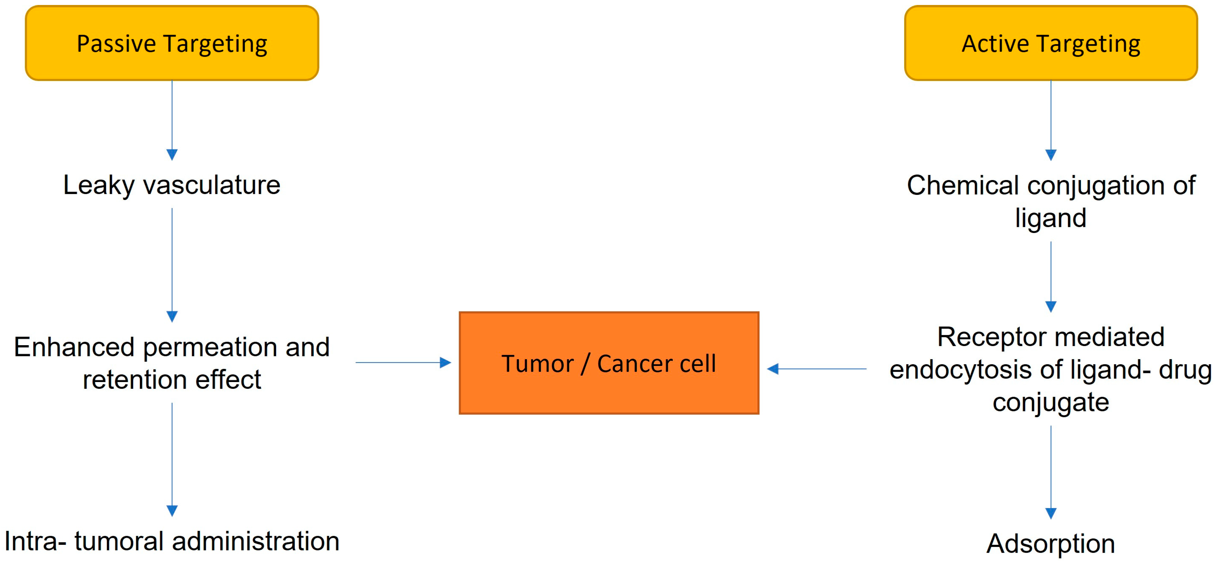 Biomedicines 11 00798 g002