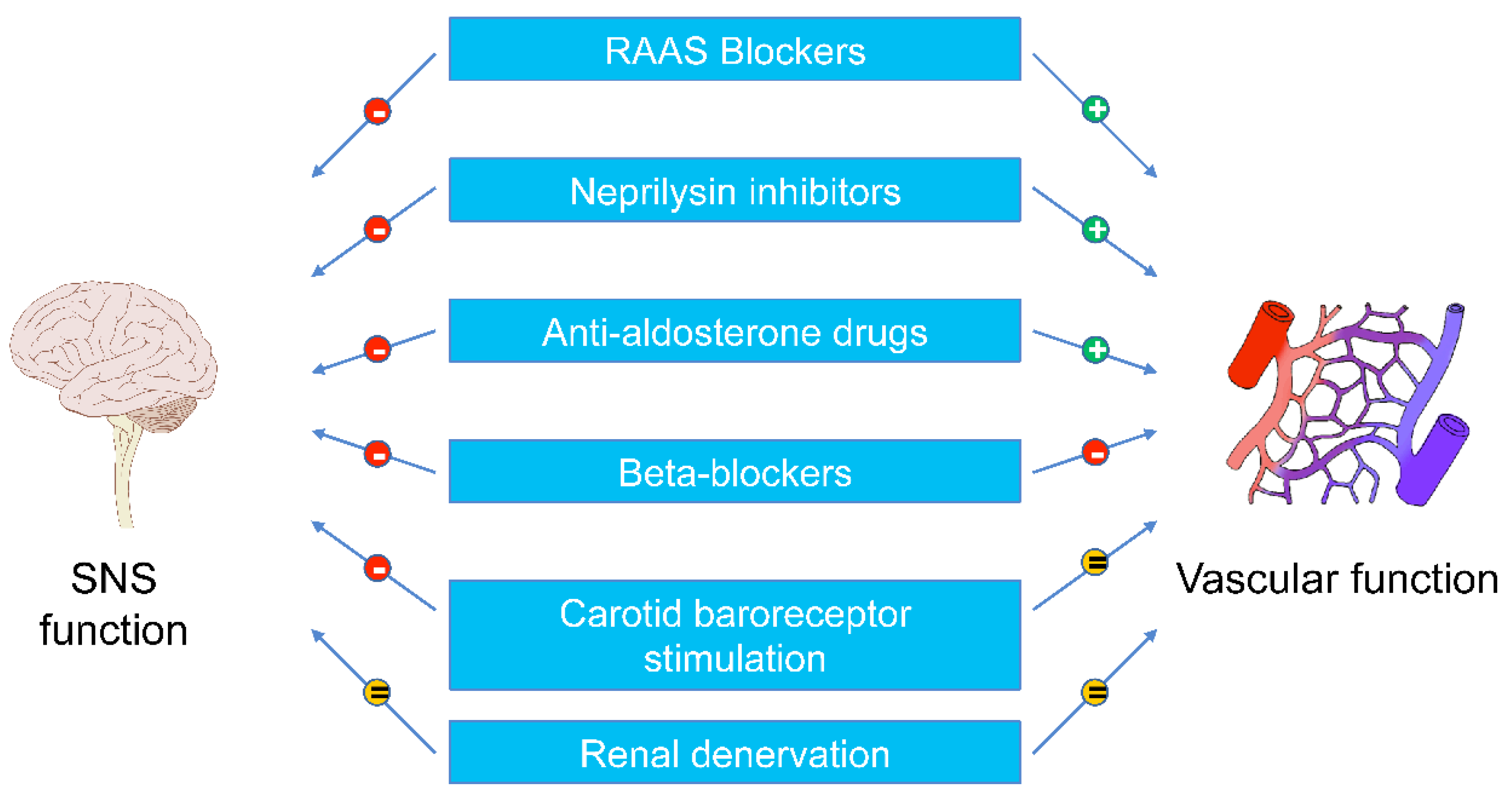 Biomedicines 11 00803 g002