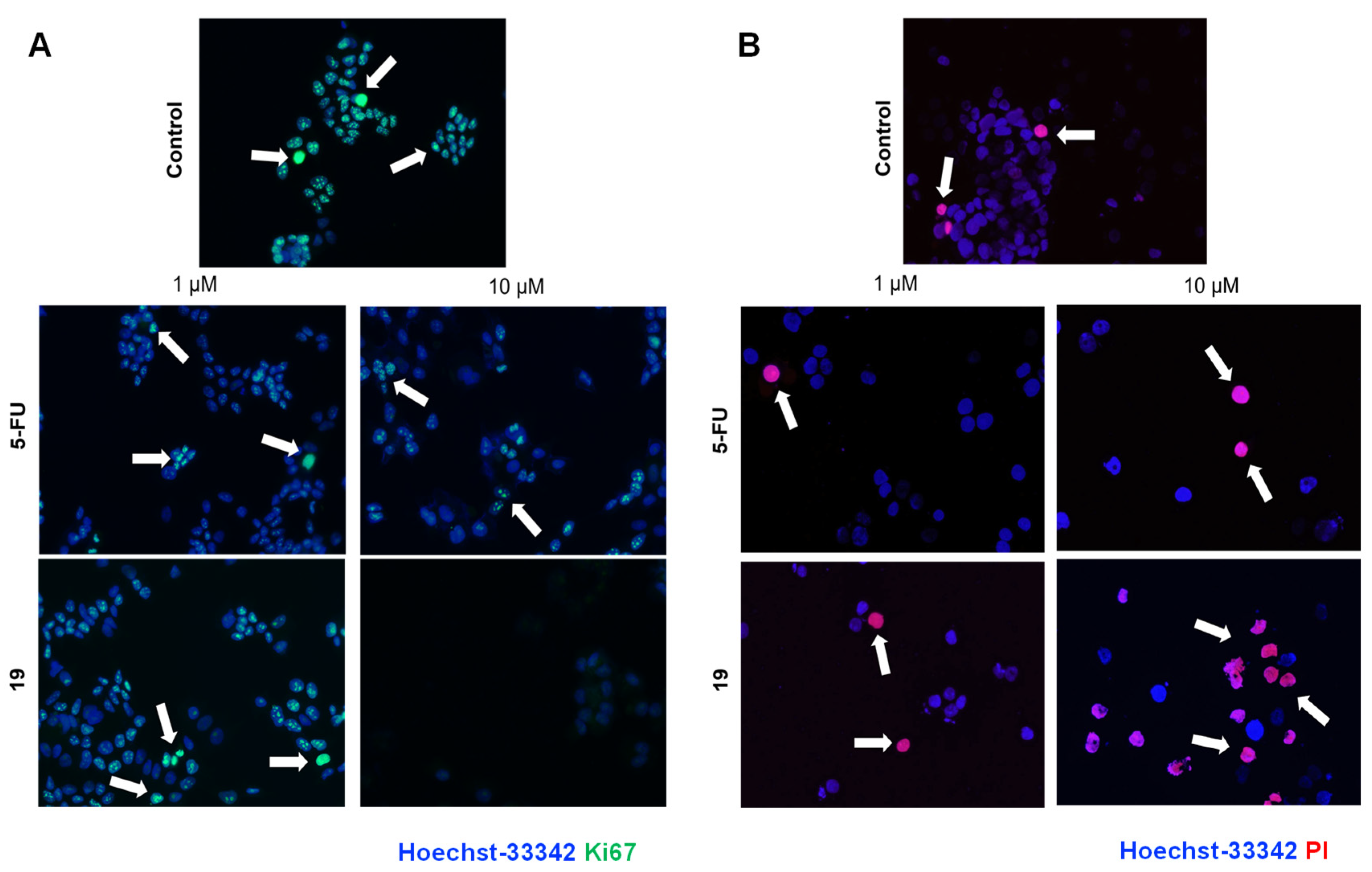 Biomedicines 11 00812 g004 Biomedicines 11 00812 g004
