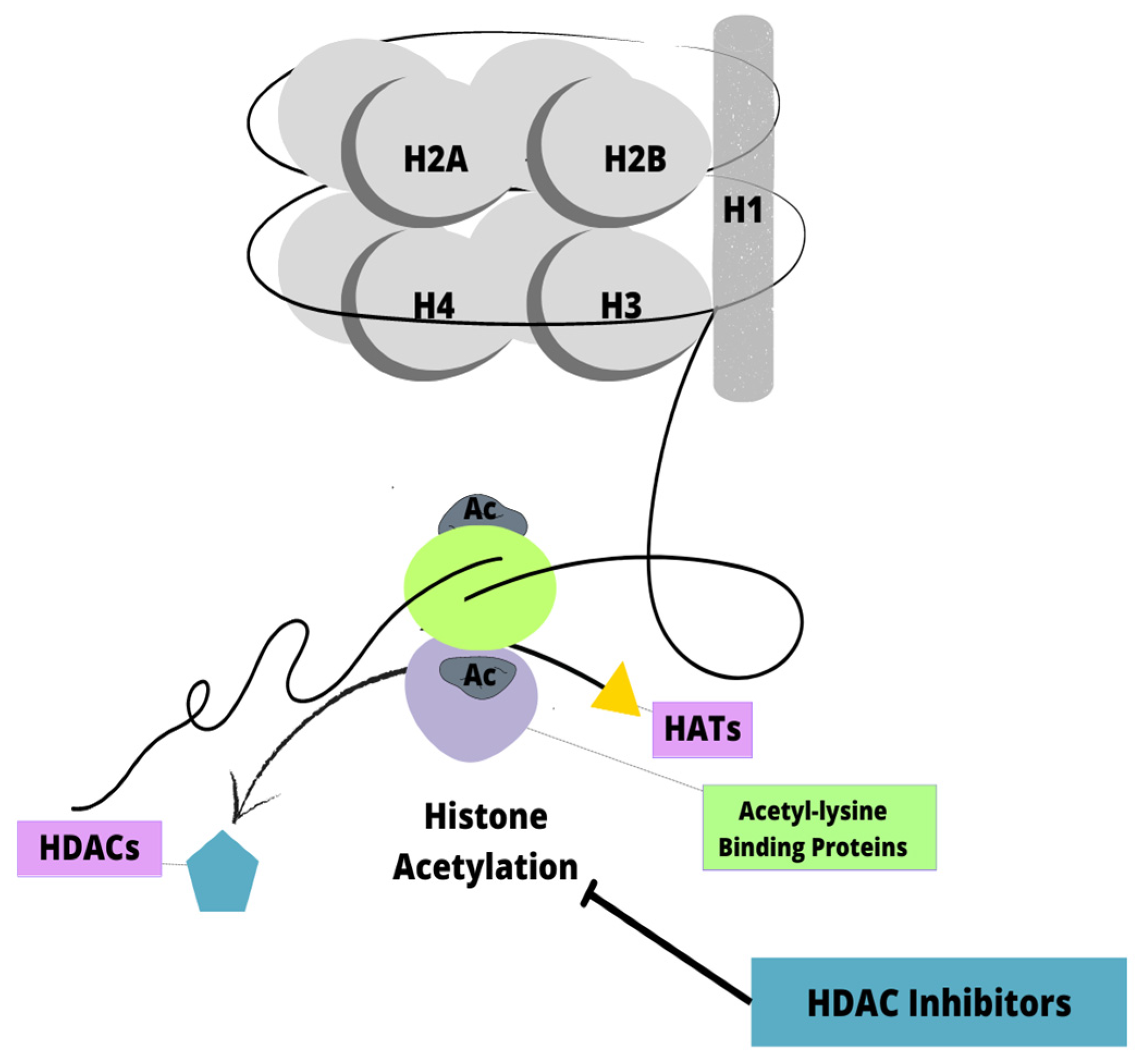 Biomedicines 11 00821 g004