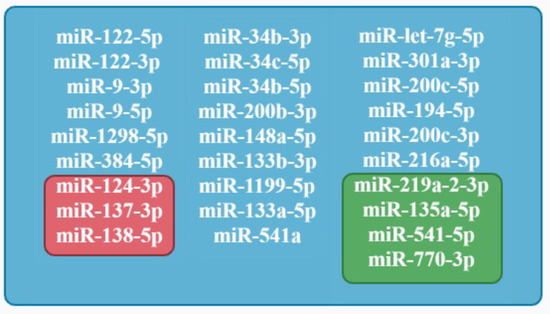 Knockout of miR-144/451 cluster aggravated neurological function and