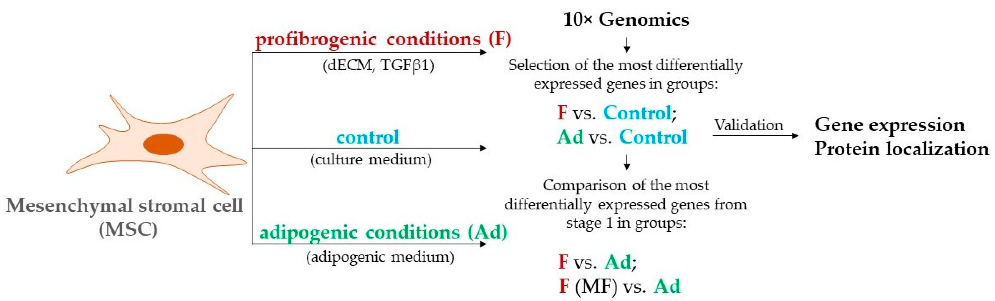 Biomedicines 11 00840 g001 Biomedicines 11 00840 g001