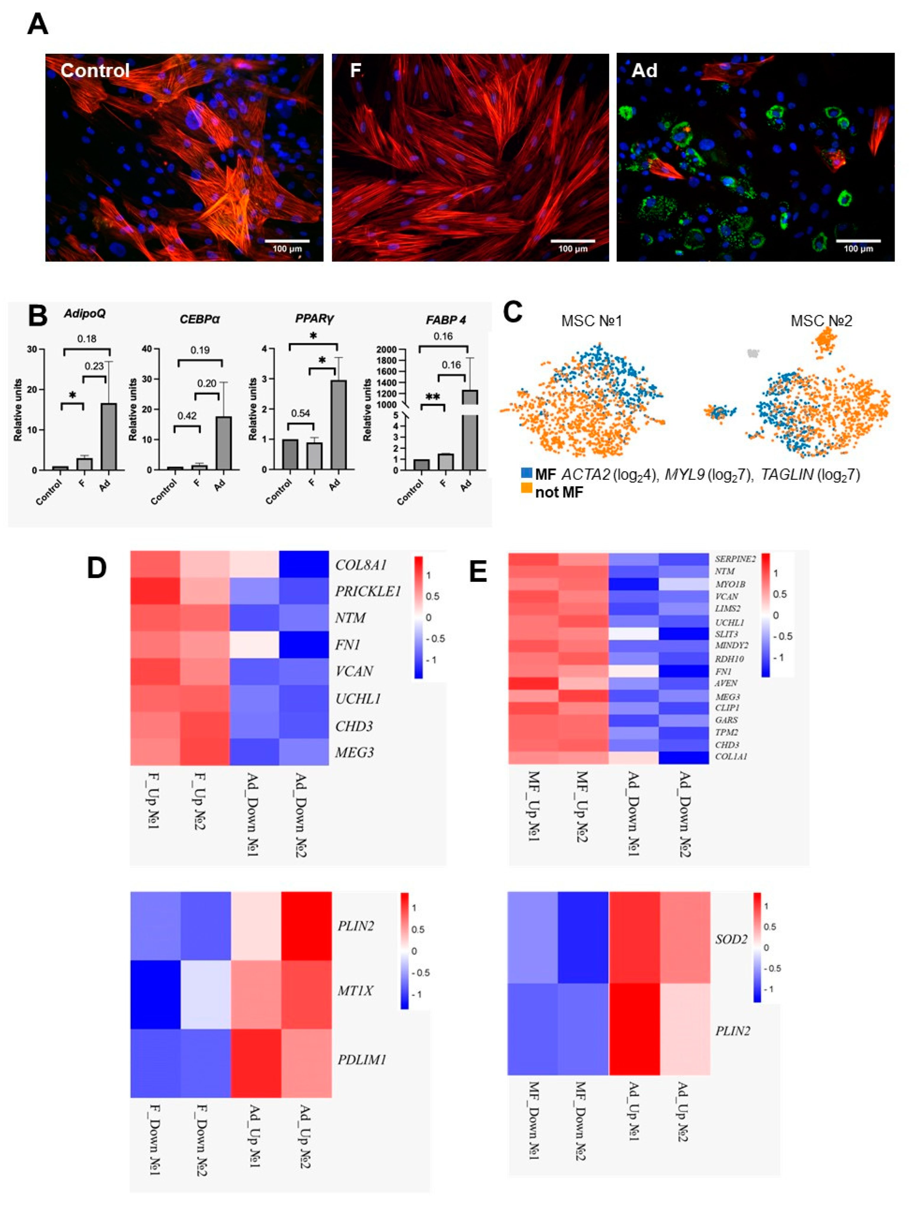 Biomedicines 11 00840 g002 Biomedicines 11 00840 g002