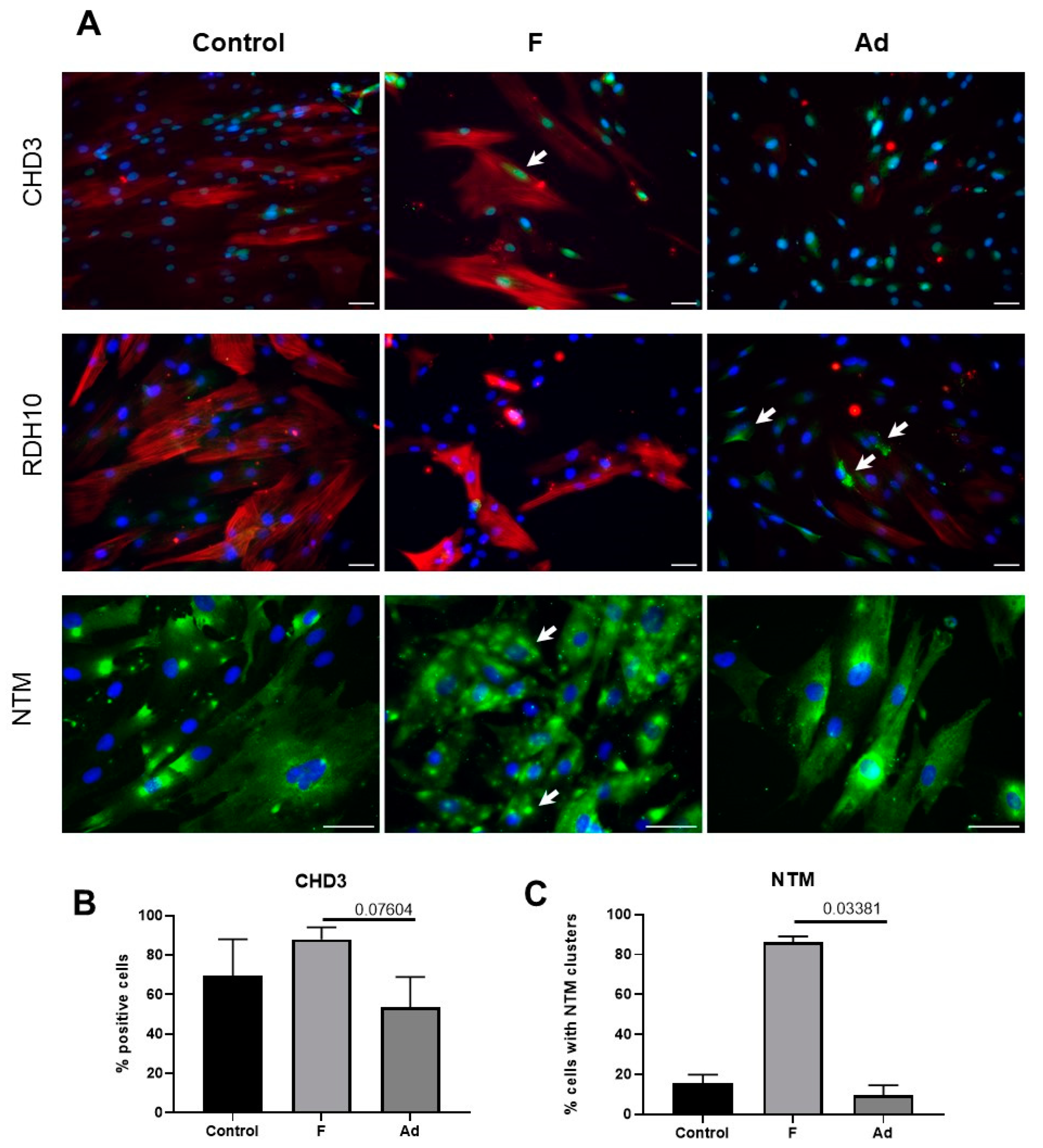 Biomedicines 11 00840 g004 Biomedicines 11 00840 g004