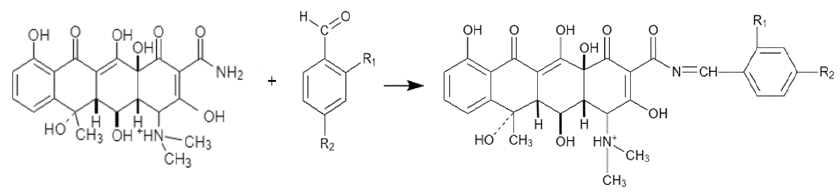 Biomedicines 11 00852 g002