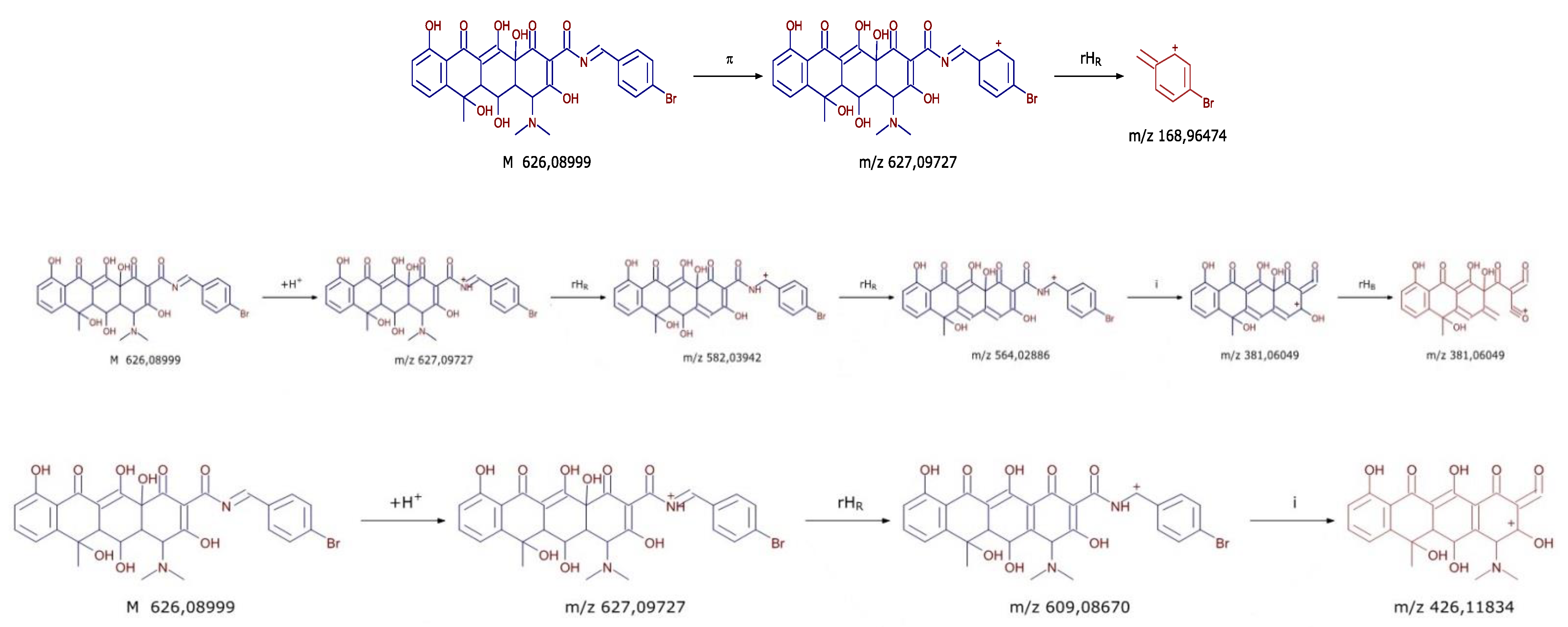 Biomedicines 11 00852 g004a