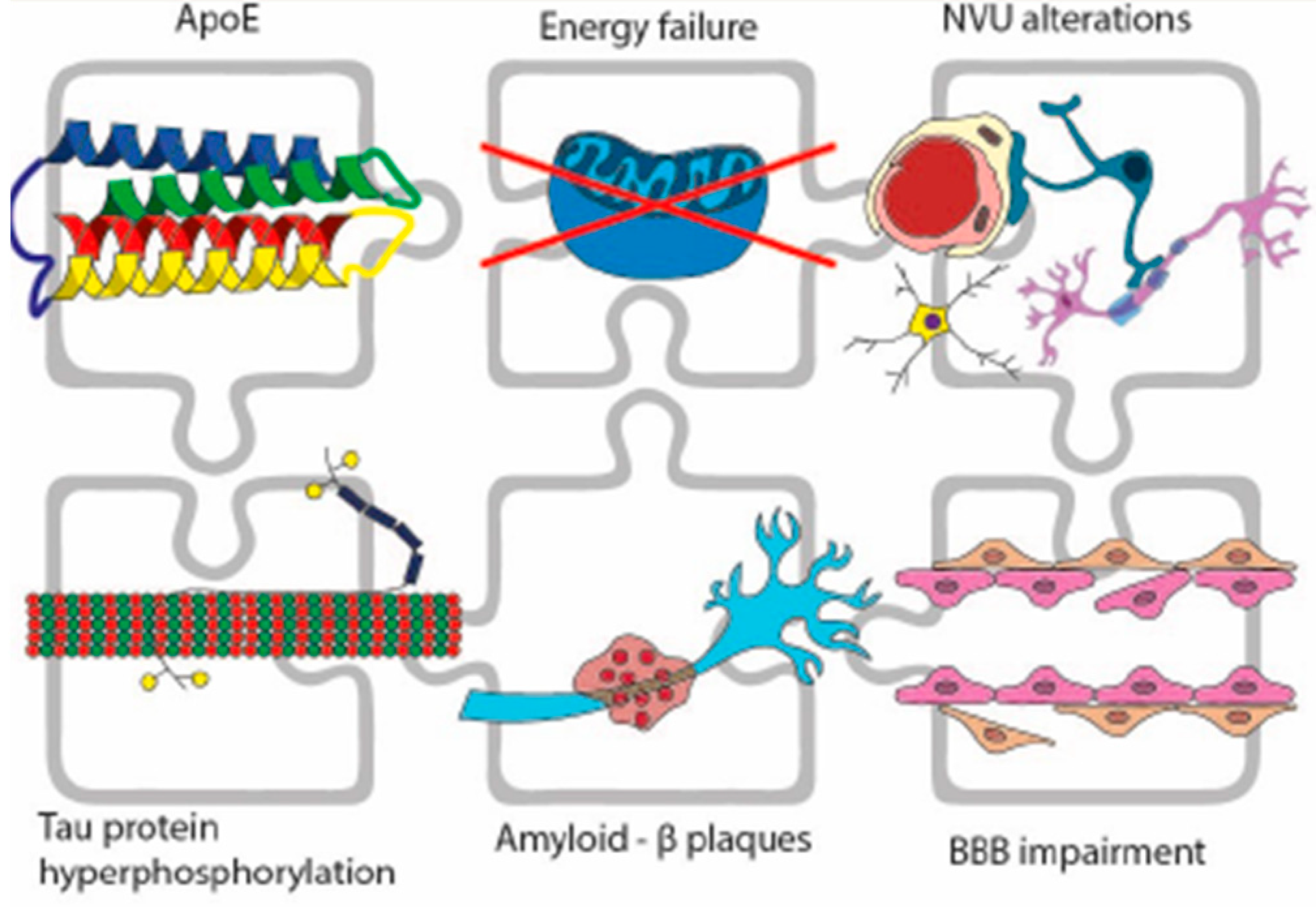 Biomedicines 11 00861 g001