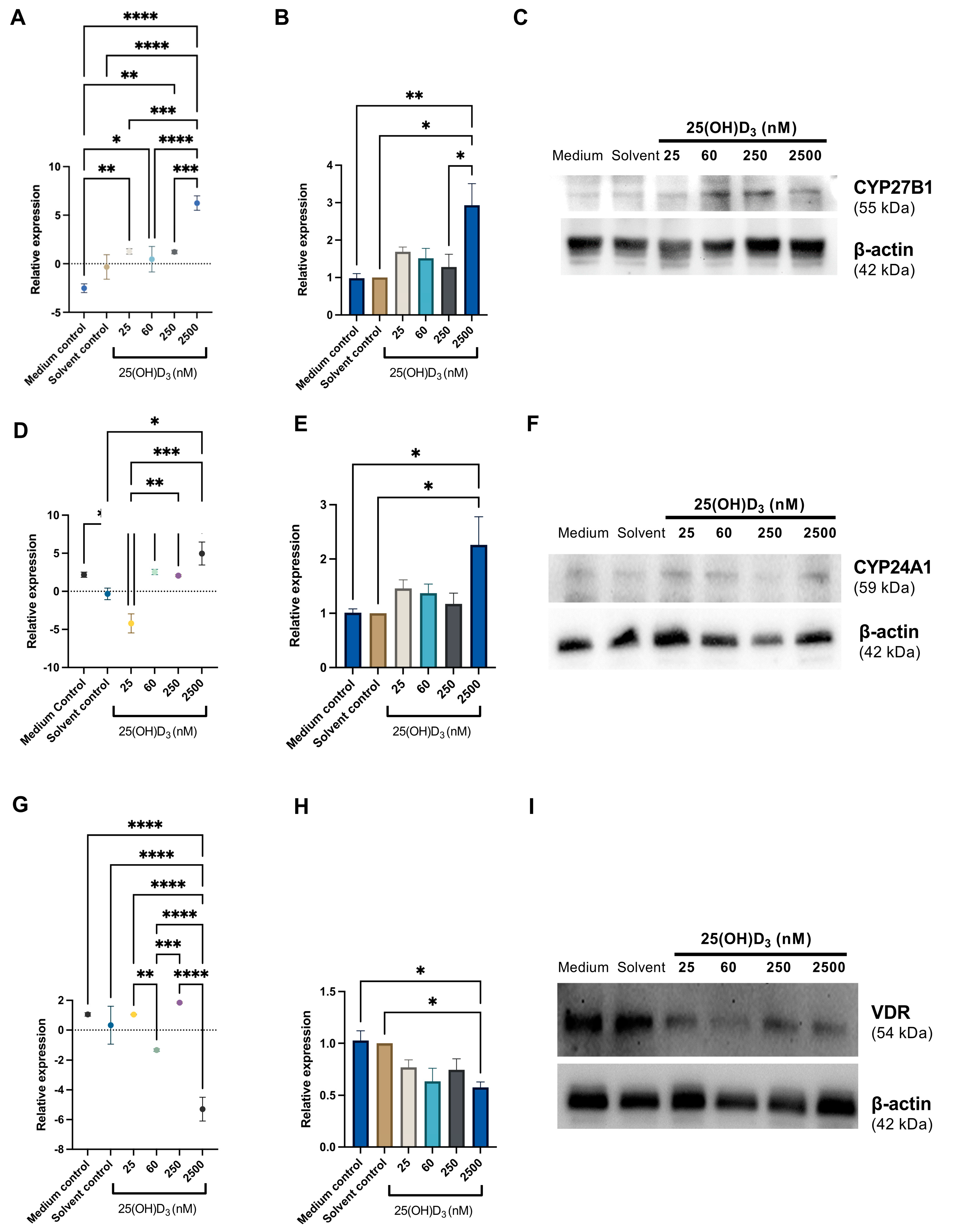Biomedicines 11 00871 g008 Biomedicines 11 00871 g008