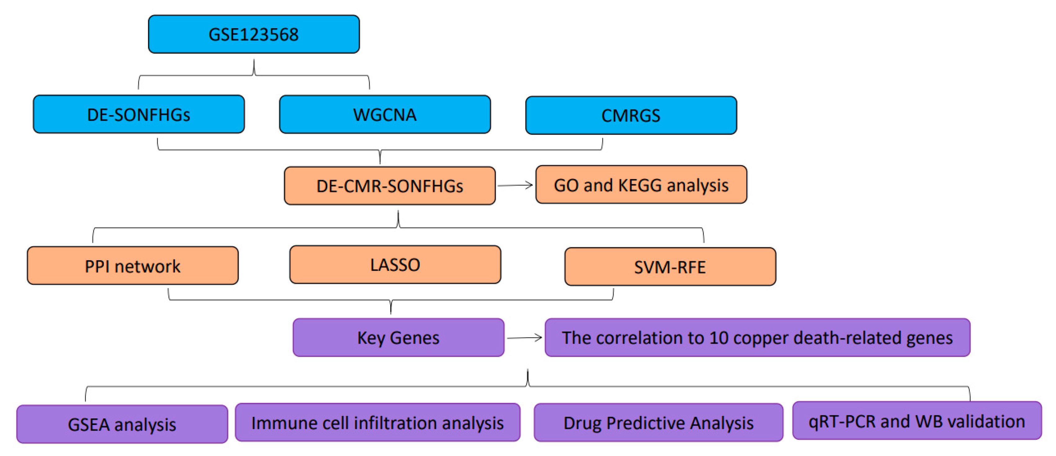 Biomedicines 11 00873 g001