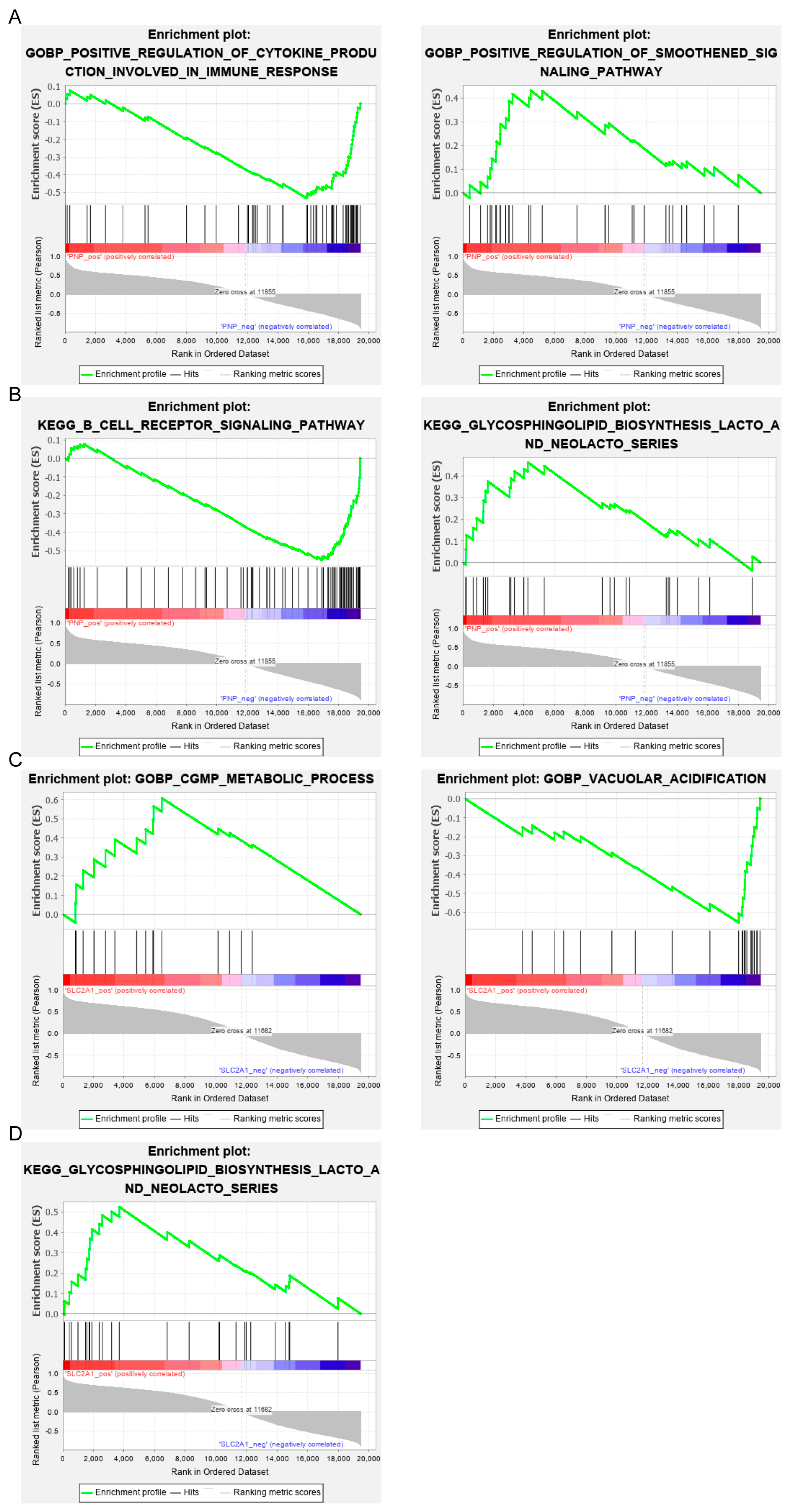 Biomedicines 11 00873 g008