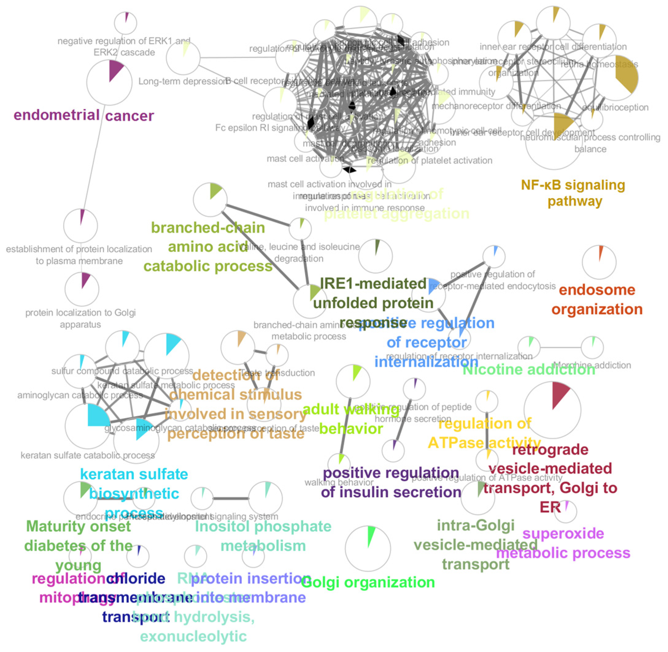 Biomedicines 11 00879 g001