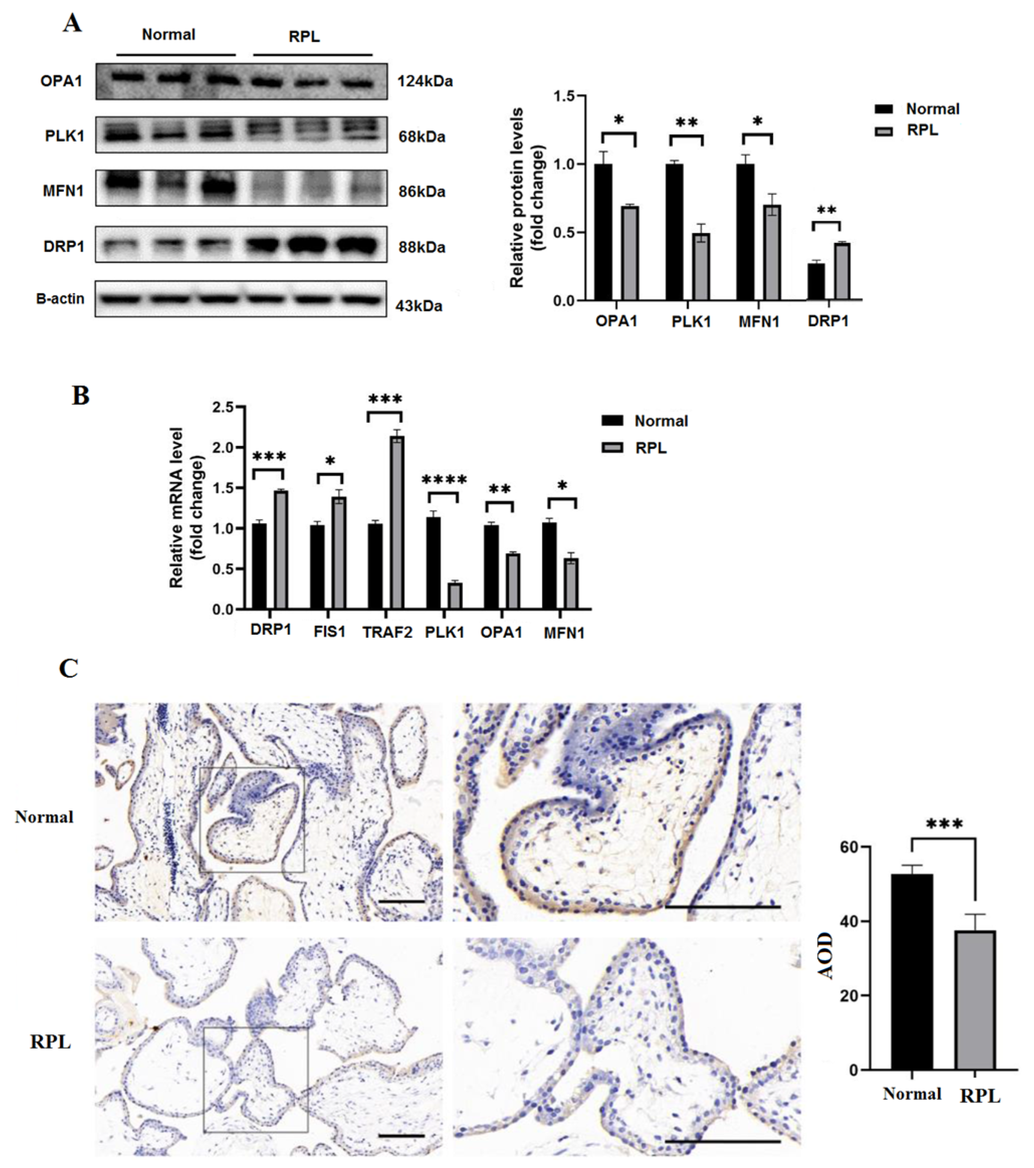 Biomedicines 11 00879 g002