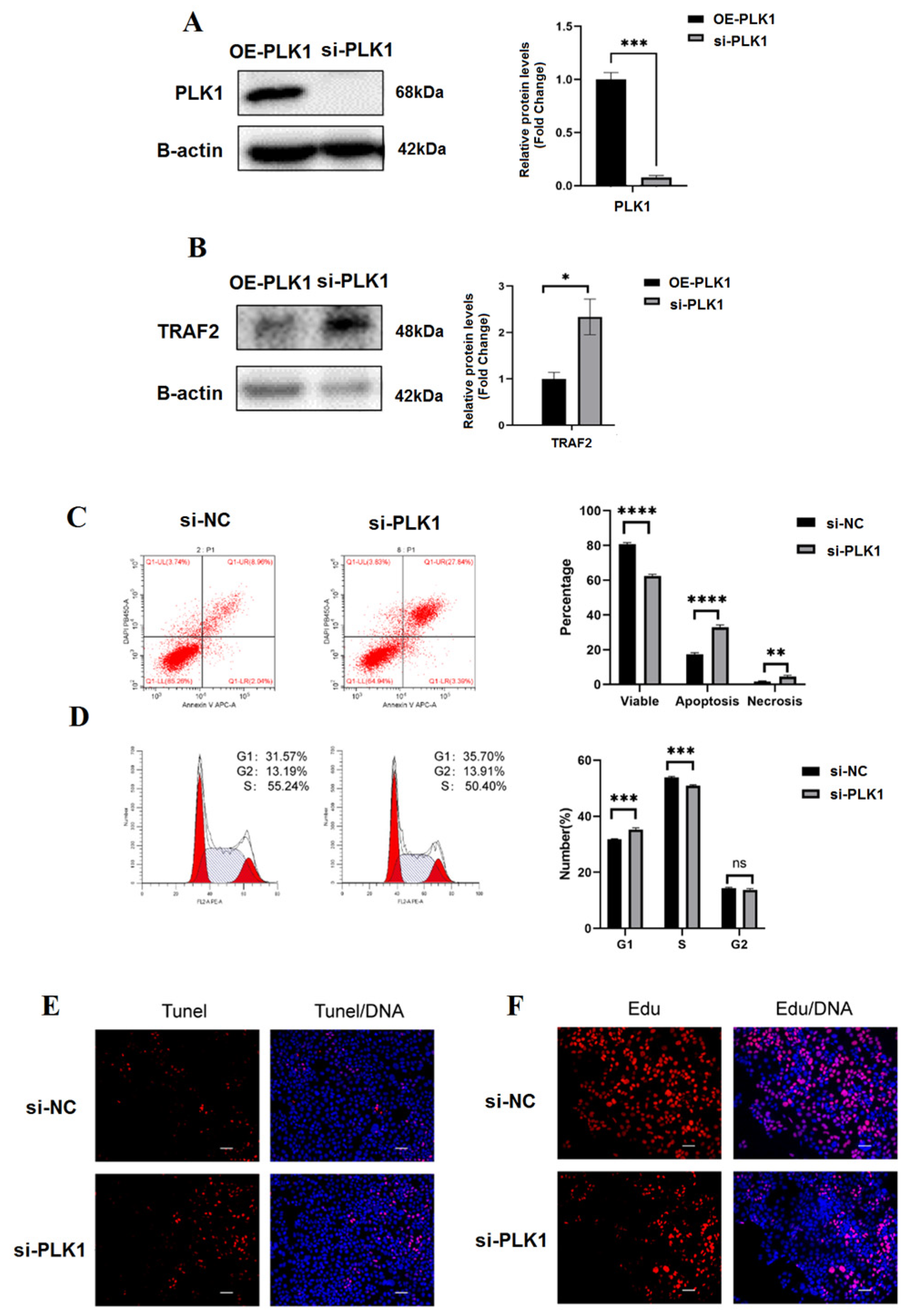 Biomedicines 11 00879 g003