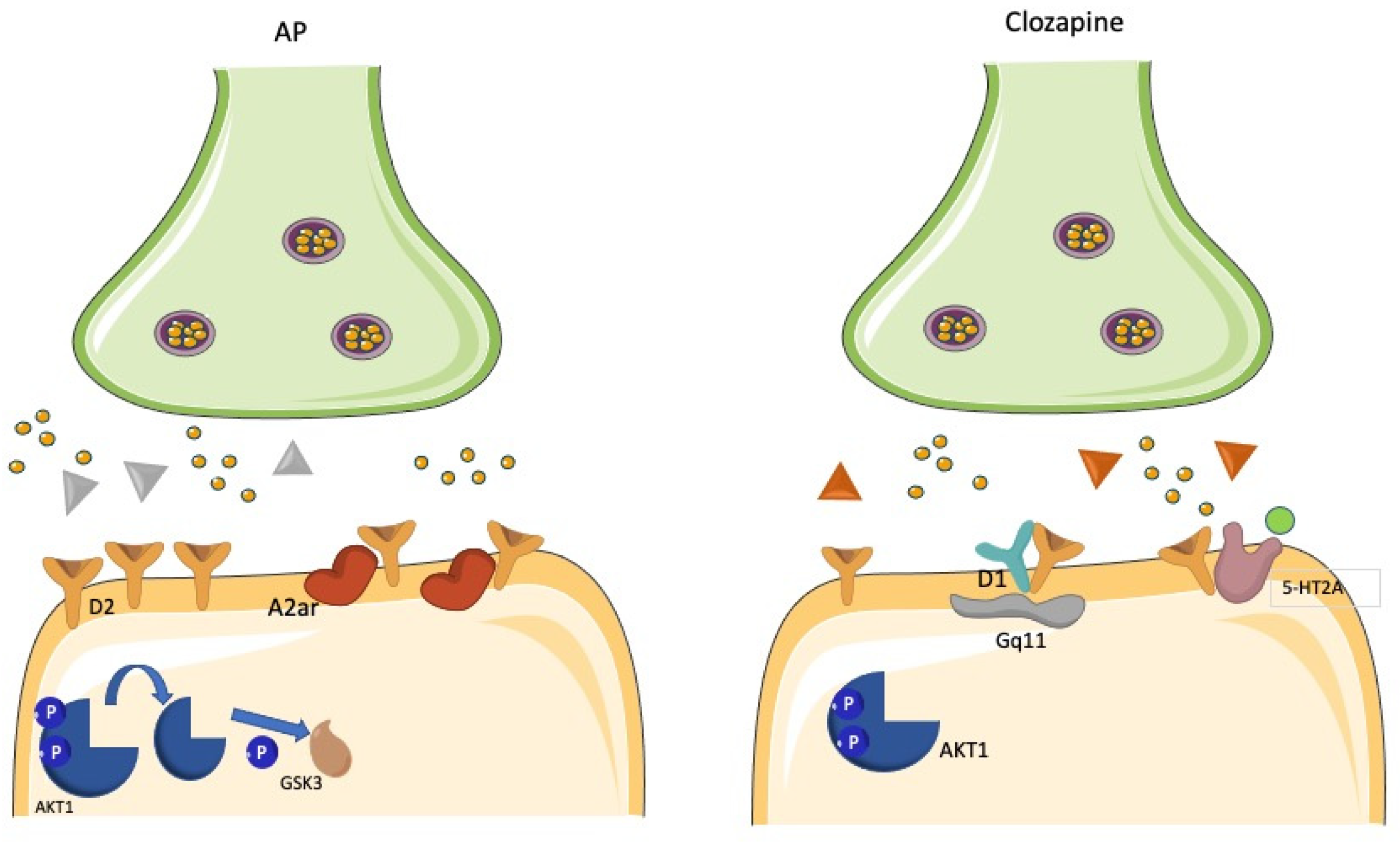 Biomedicines 11 00895 g008 Biomedicines 11 00895 g008
