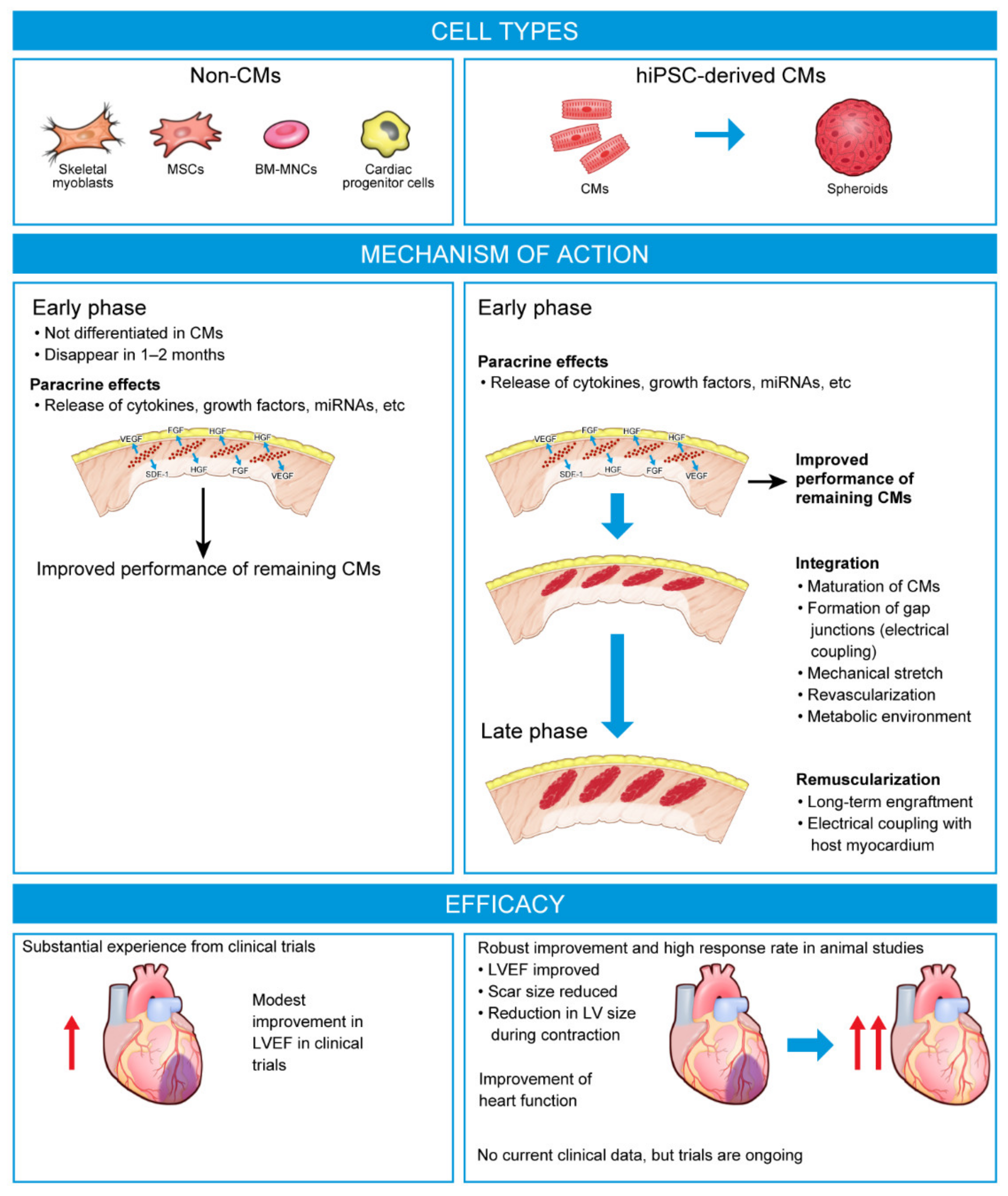 Biomedicines 11 00915 g001