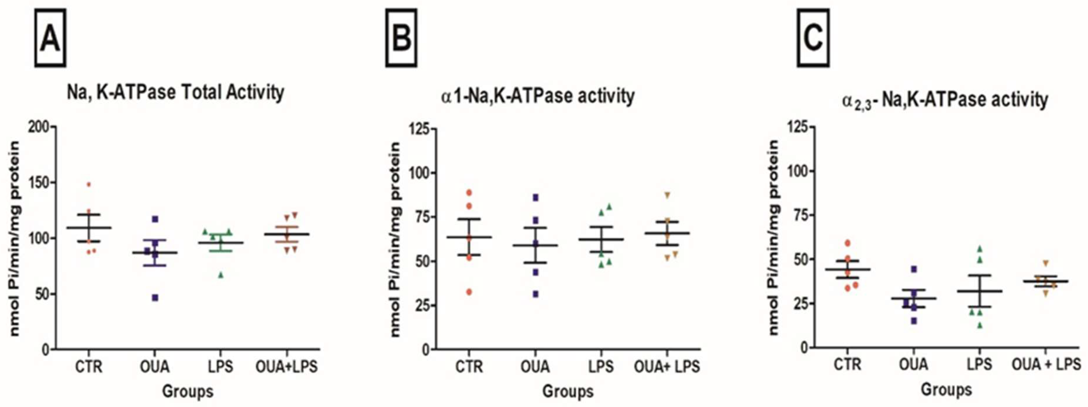 Biomedicines 11 00920 g002