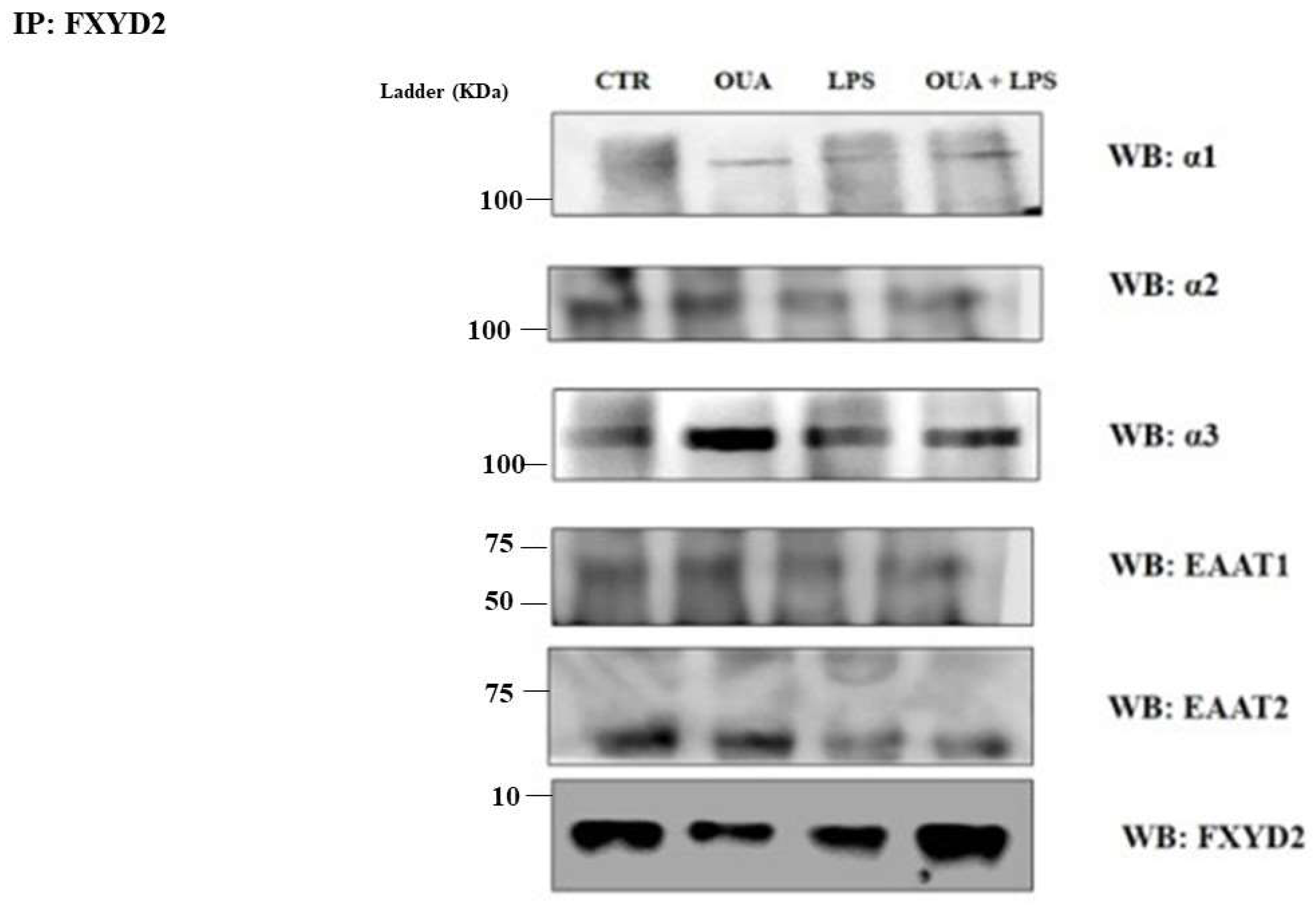 Biomedicines 11 00920 g006