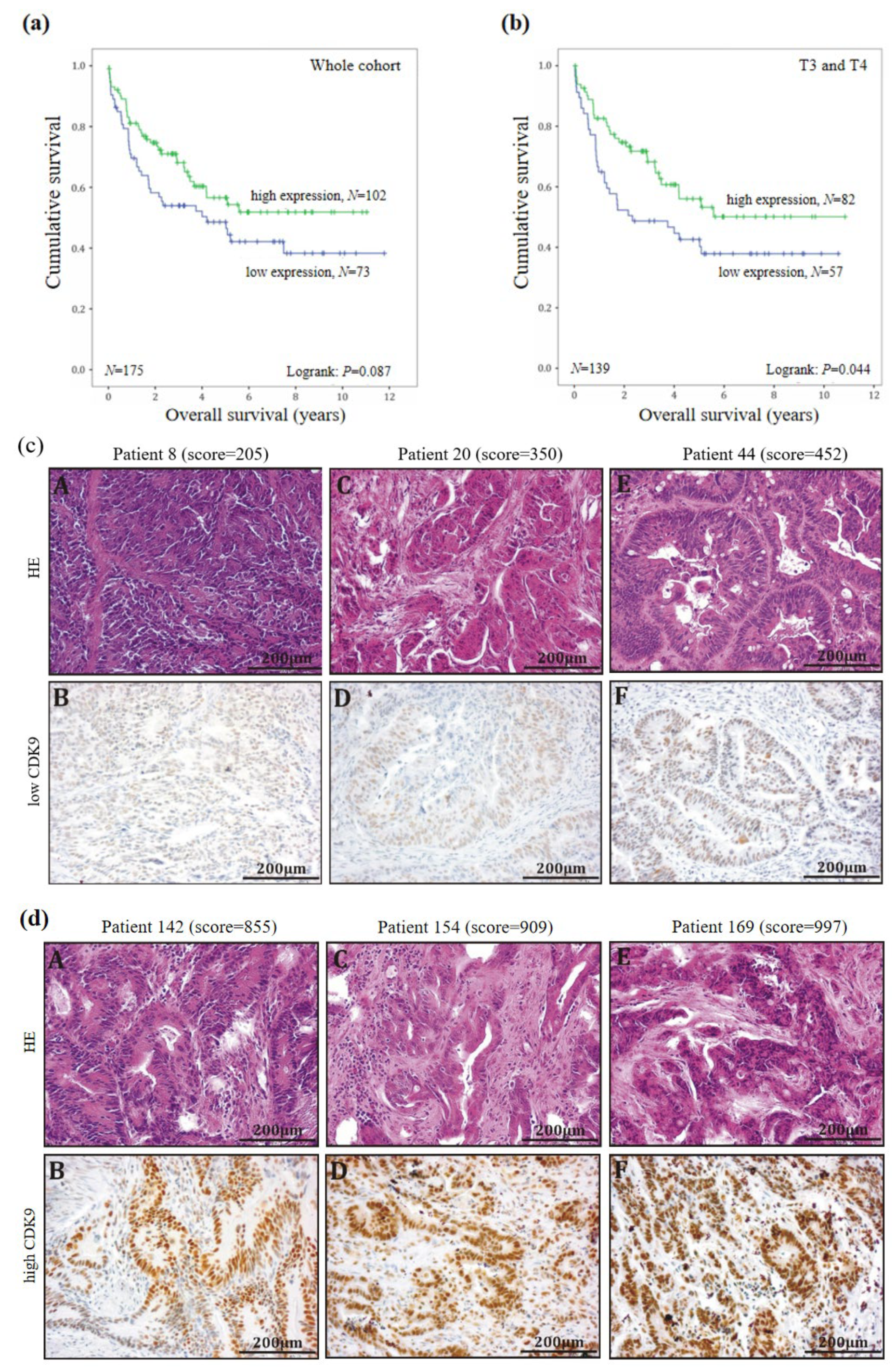Biomedicines 11 00928 g002