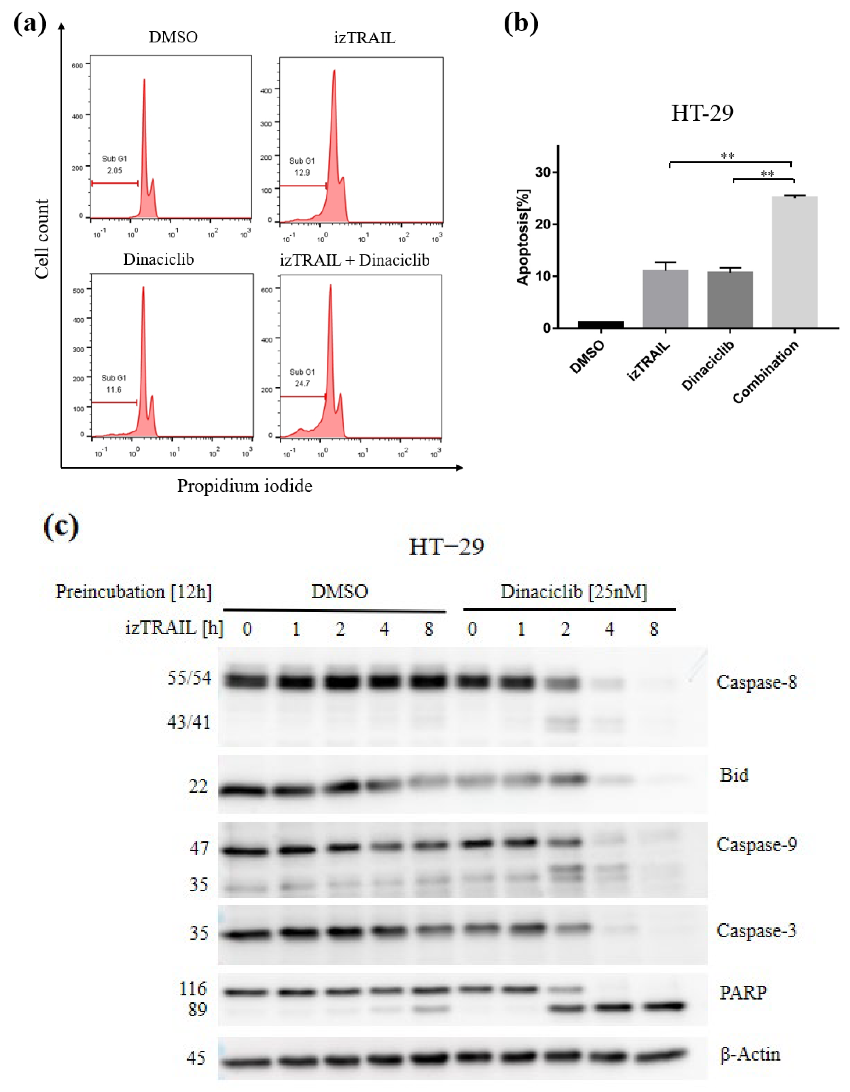 Biomedicines 11 00928 g004