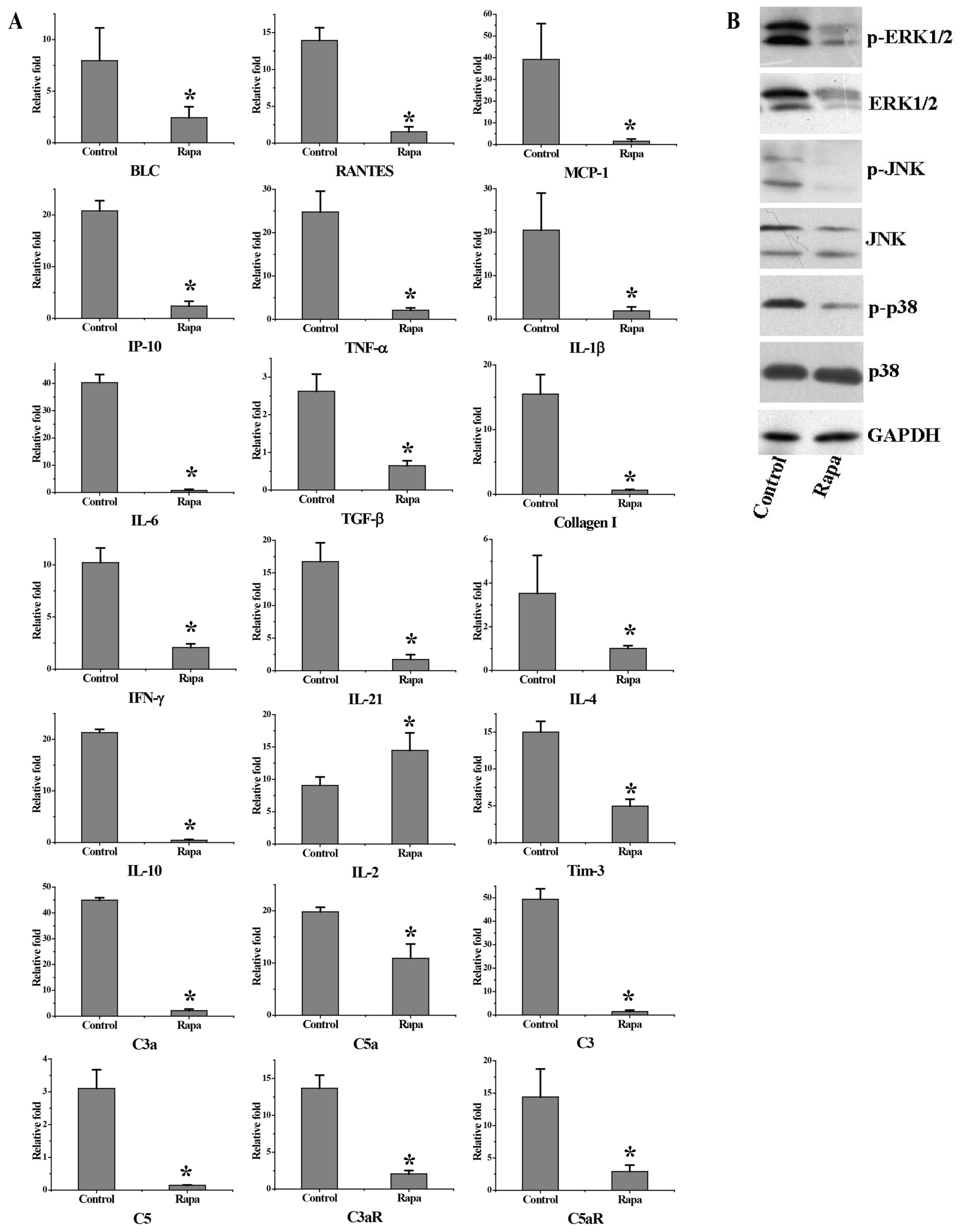 Biomedicines 11 00949 g003 Biomedicines 11 00949 g003