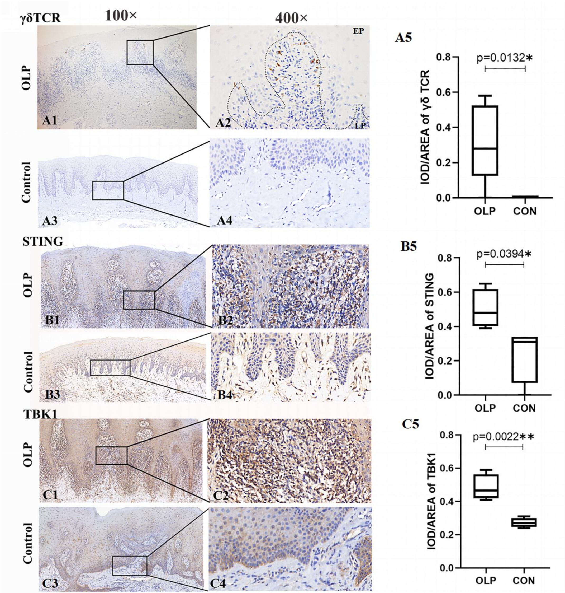 Biomedicines 11 00955 g004 Biomedicines 11 00955 g004
