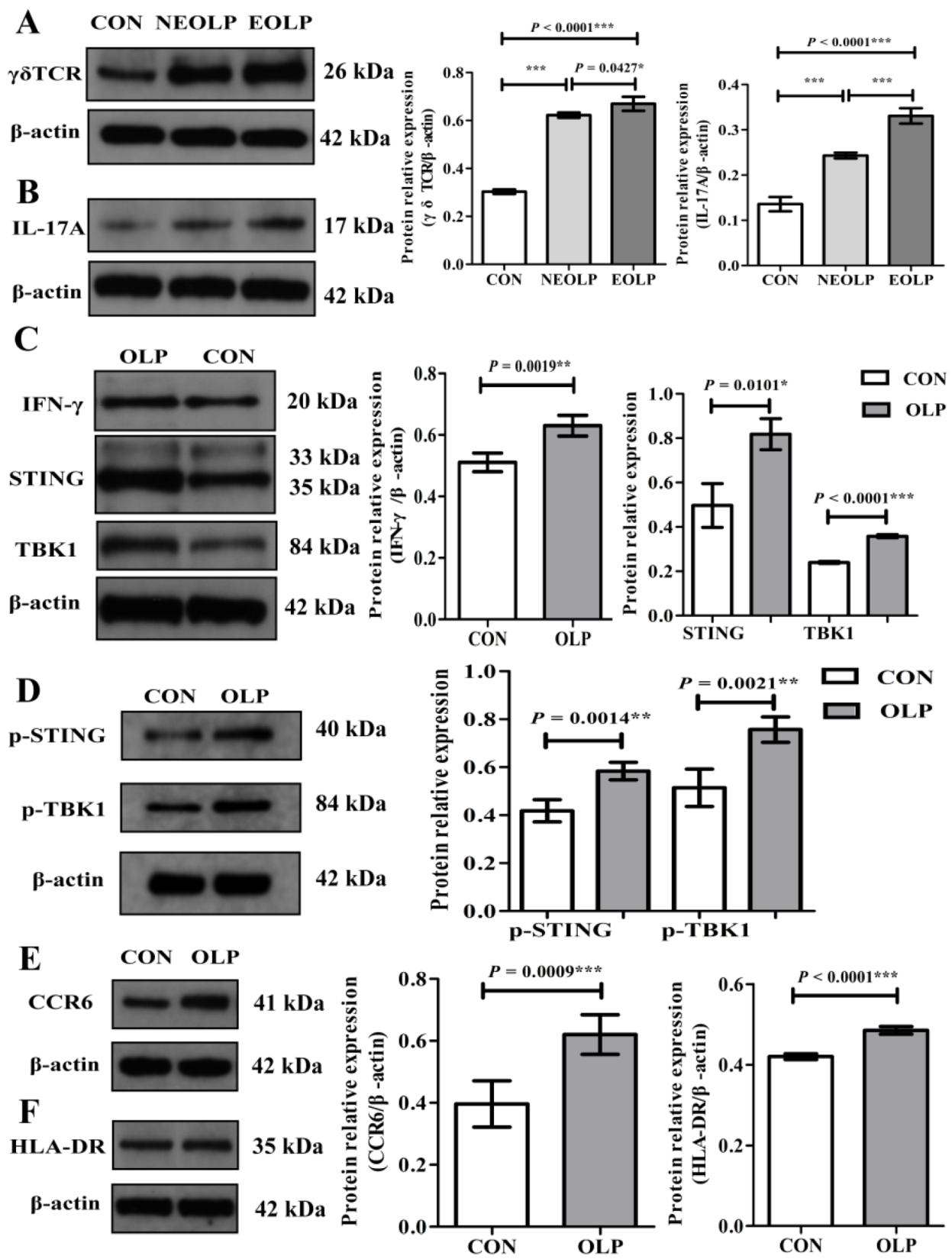 Biomedicines 11 00955 g006 Biomedicines 11 00955 g006