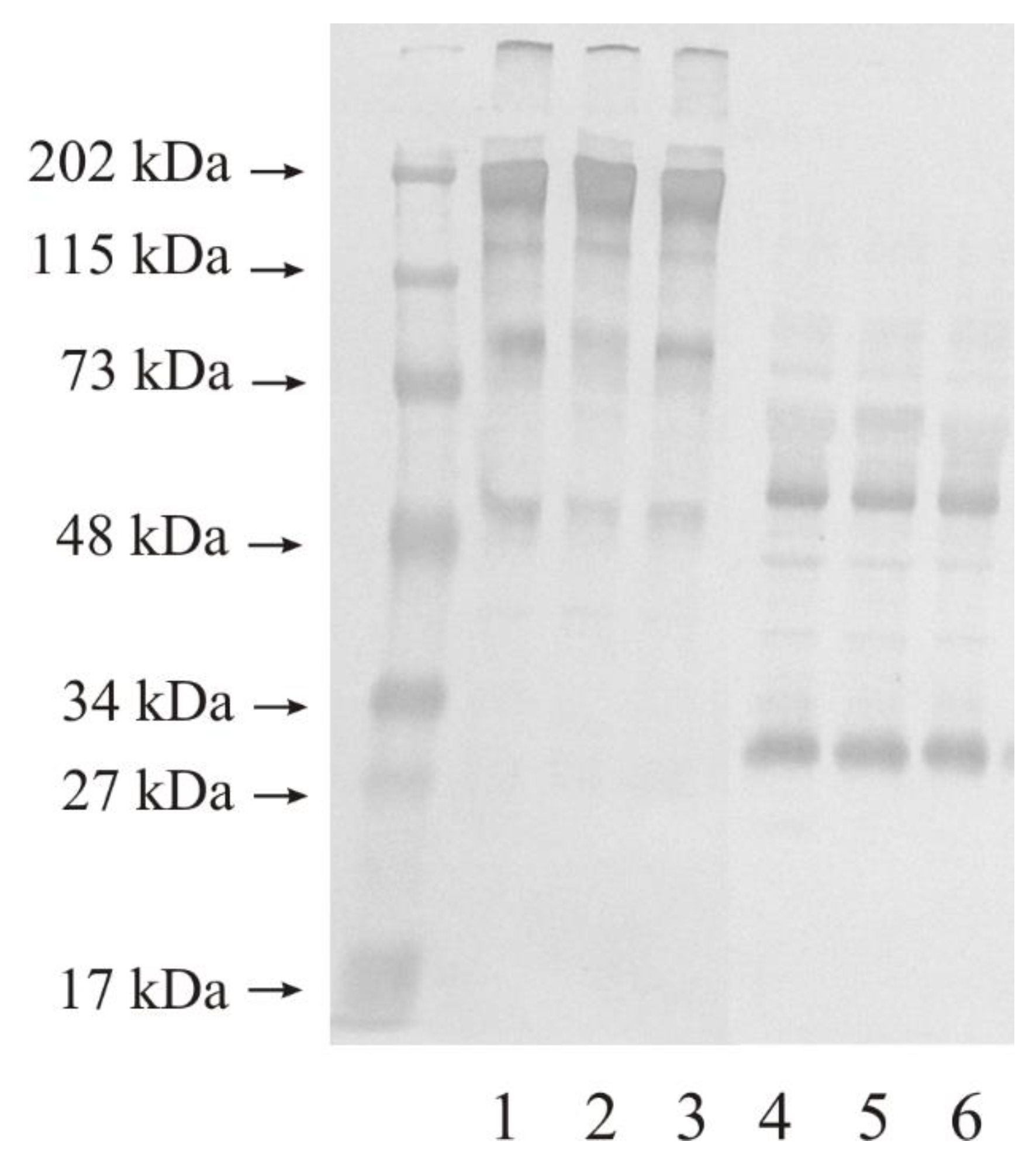 Biomedicines 11 00956 g003 Biomedicines 11 00956 g003