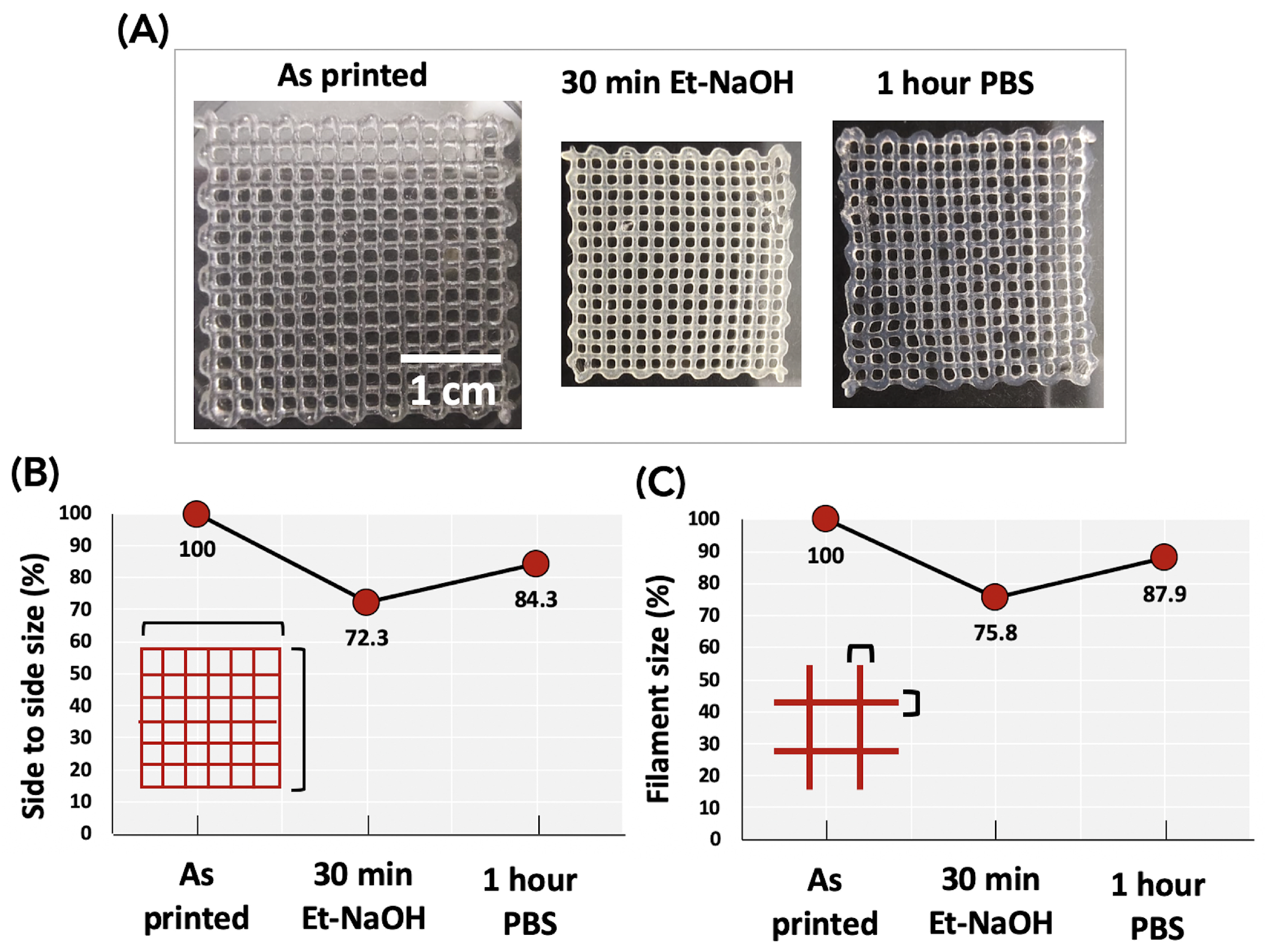 Biomedicines 11 00963 g003 Biomedicines 11 00963 g003