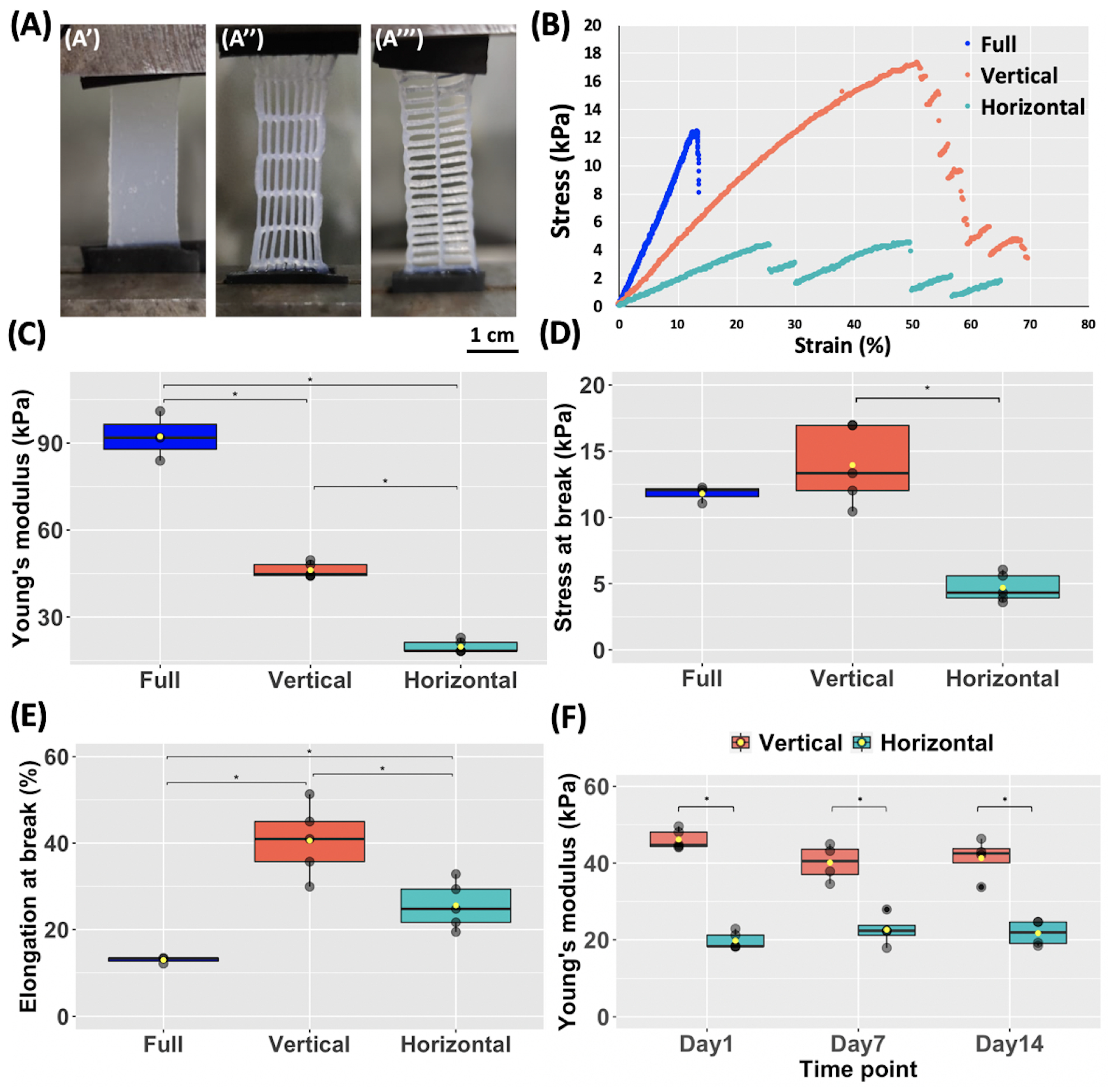 Biomedicines 11 00963 g004 Biomedicines 11 00963 g004