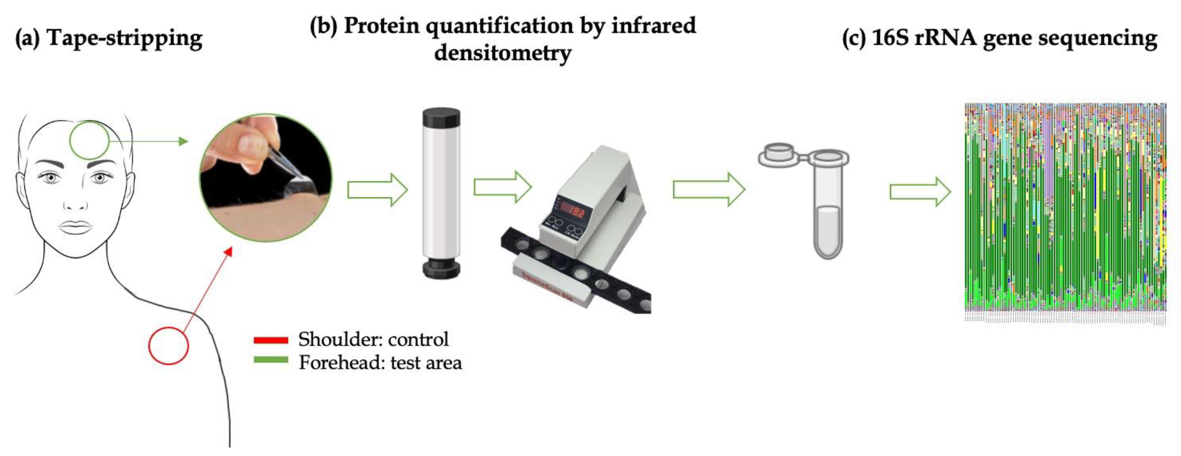 Biomedicines 11 00966 g002 Biomedicines 11 00966 g002