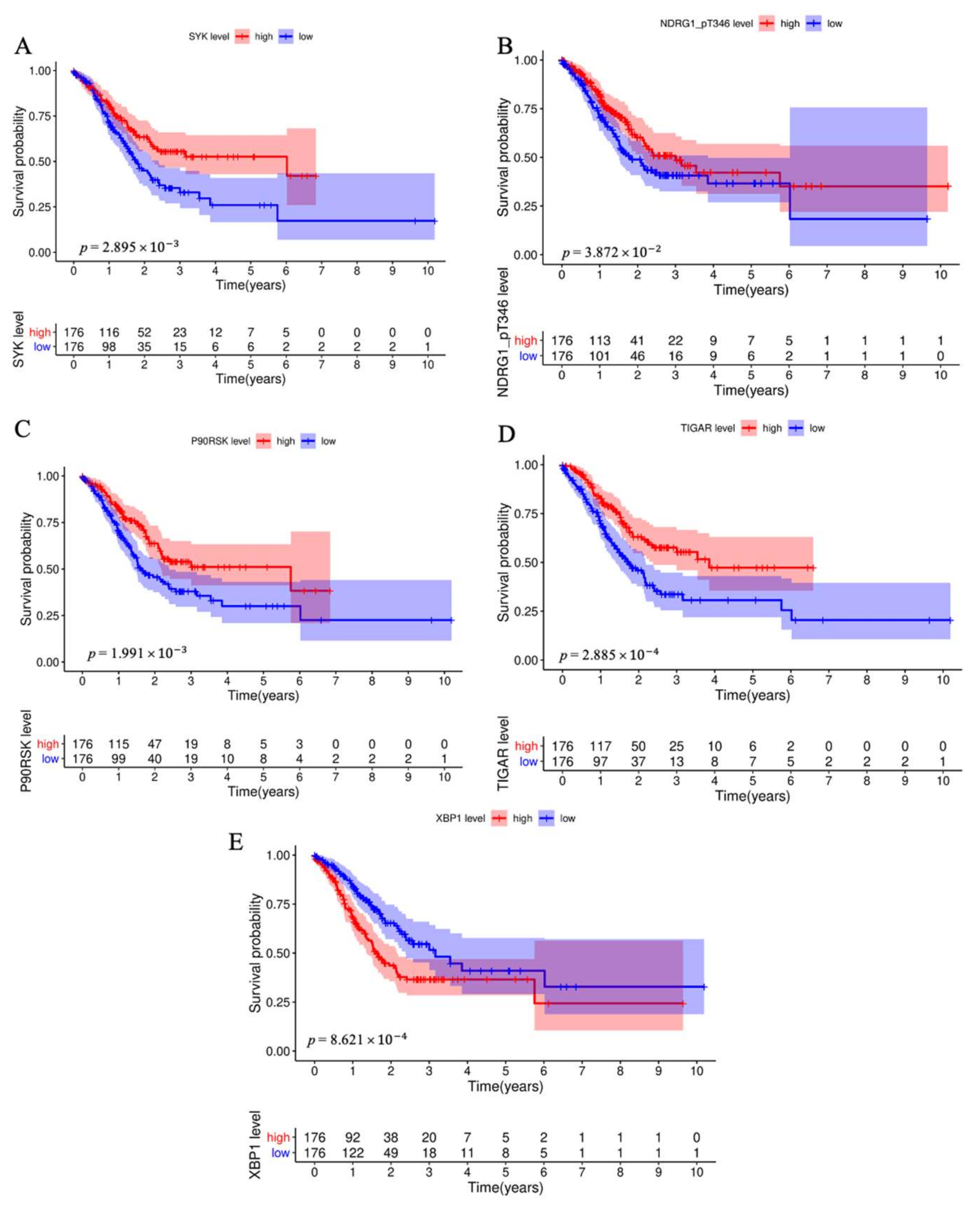 Biomedicines 11 00983 g001 Biomedicines 11 00983 g001