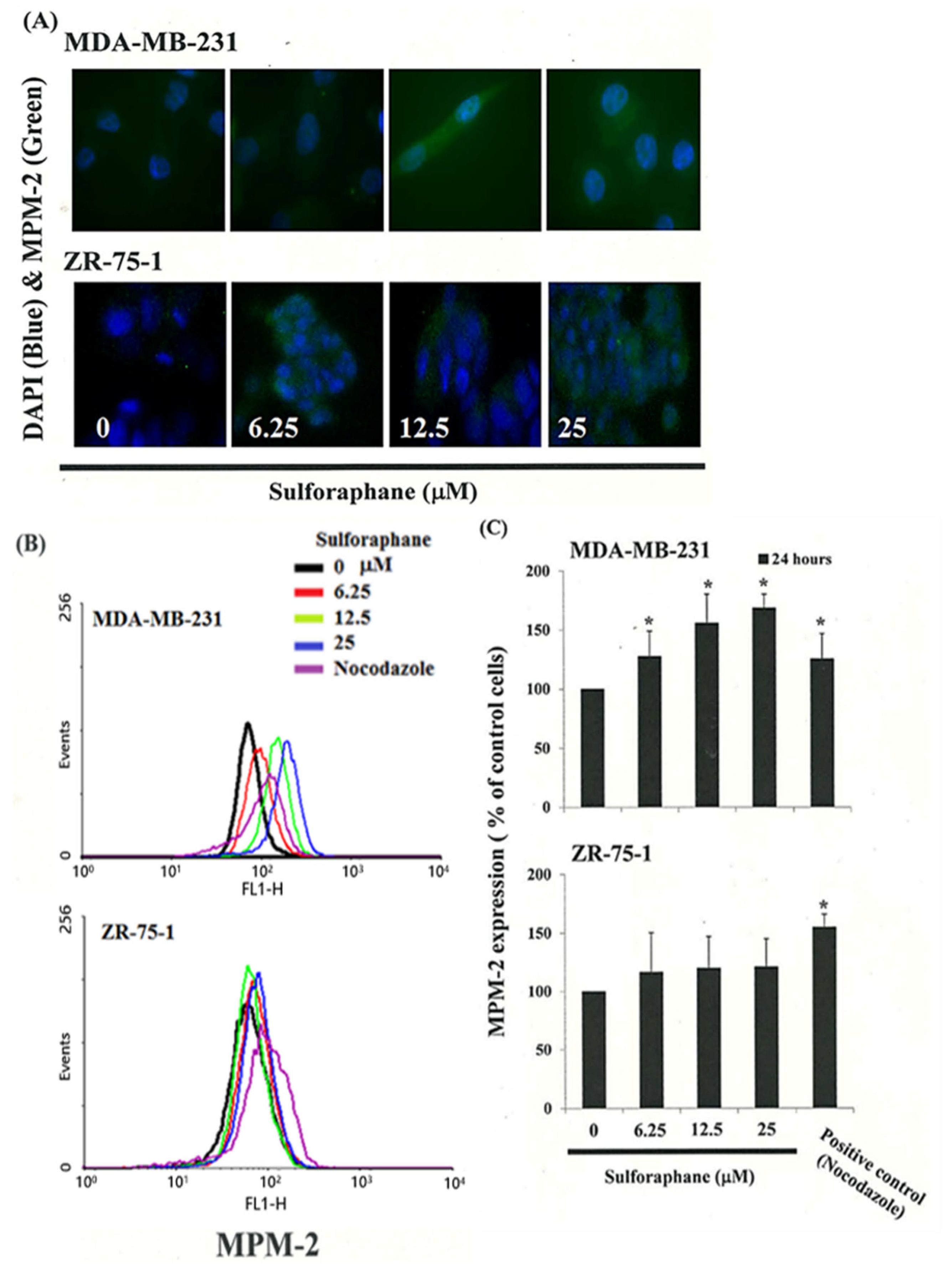Biomedicines 11 00996 g002