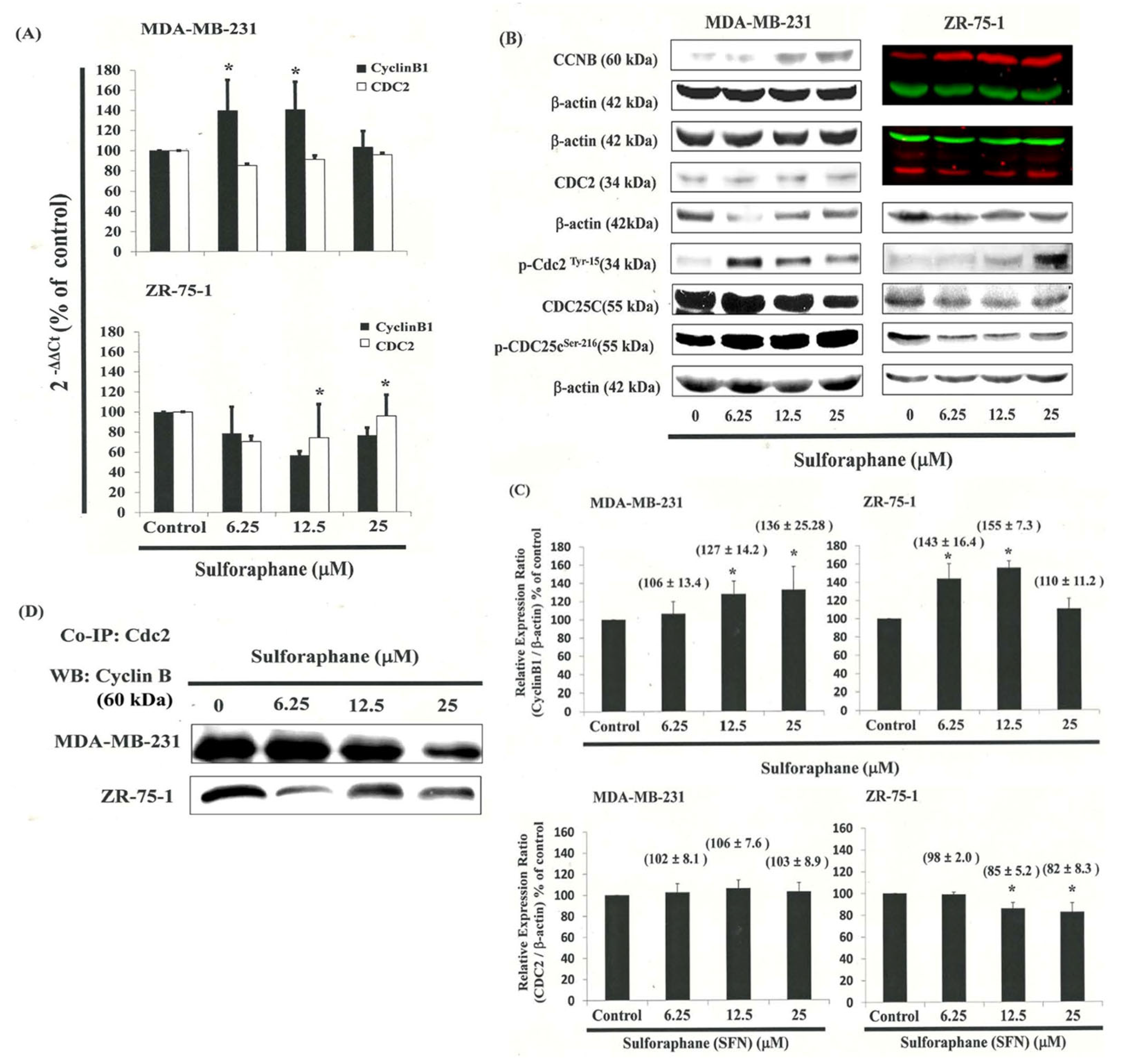 Biomedicines 11 00996 g003
