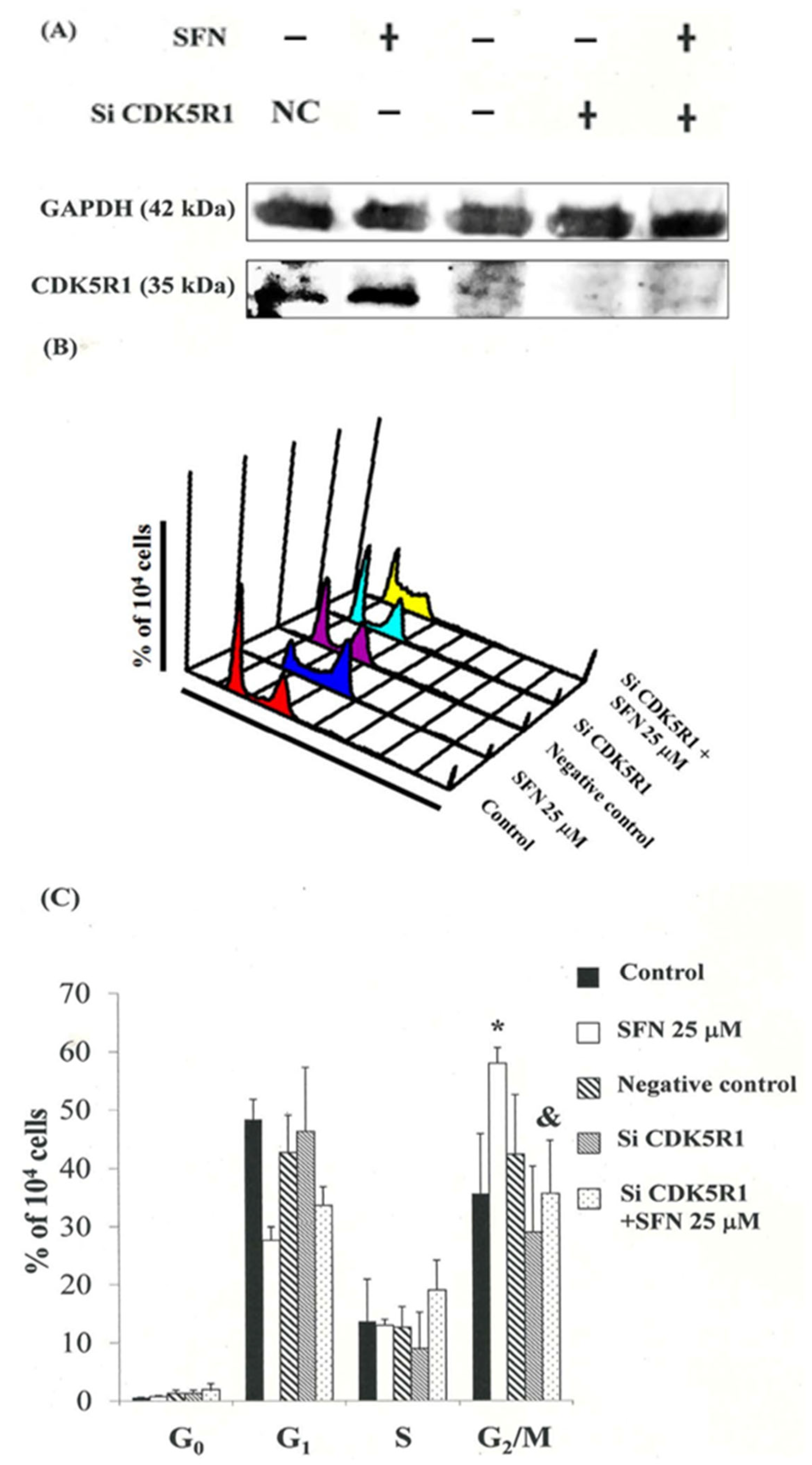 Biomedicines 11 00996 g006