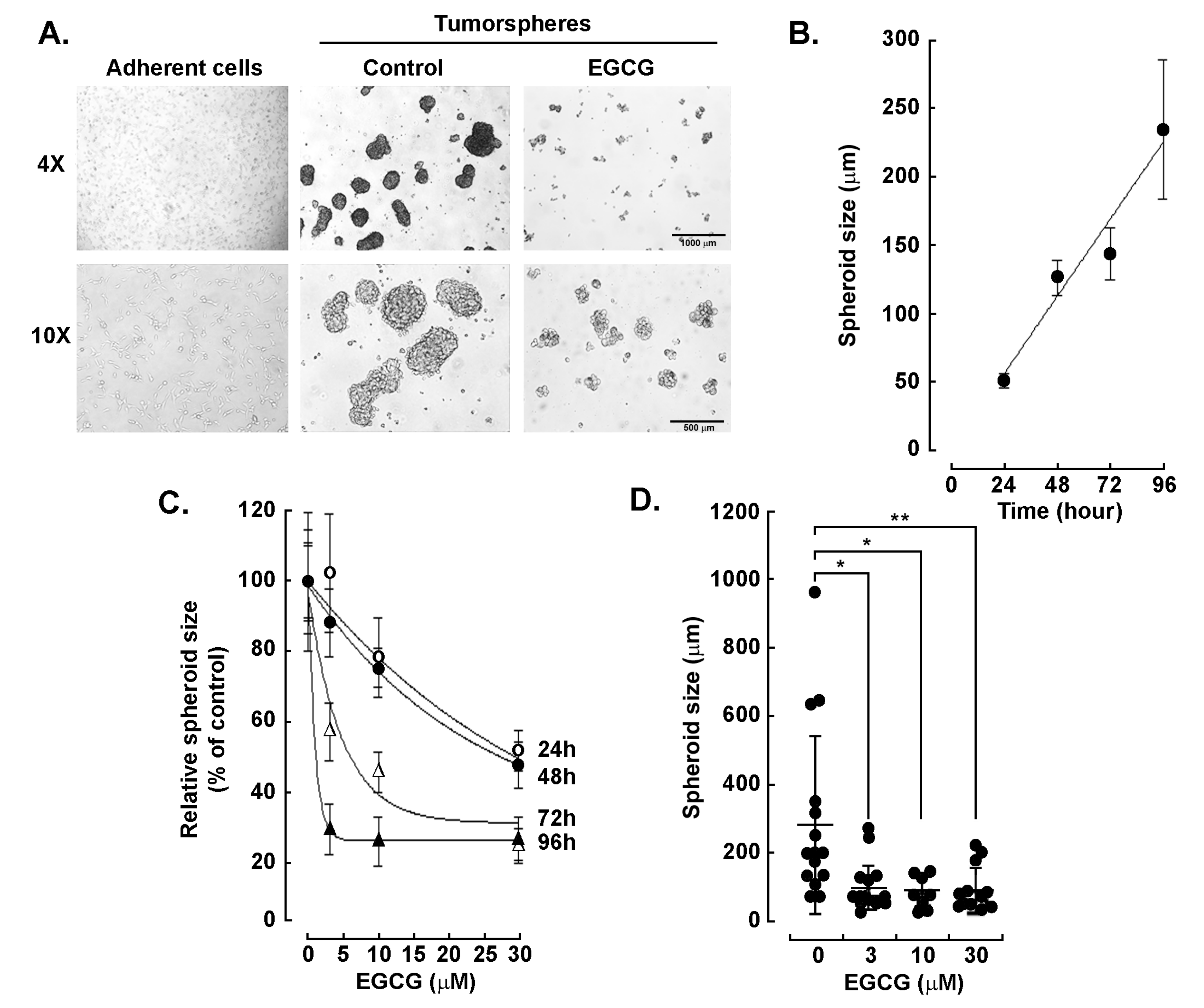 https://www.mdpi.com/biomedicines/biomedicines-11-01000/article_deploy/html/images/biomedicines-11-01000-g001.png