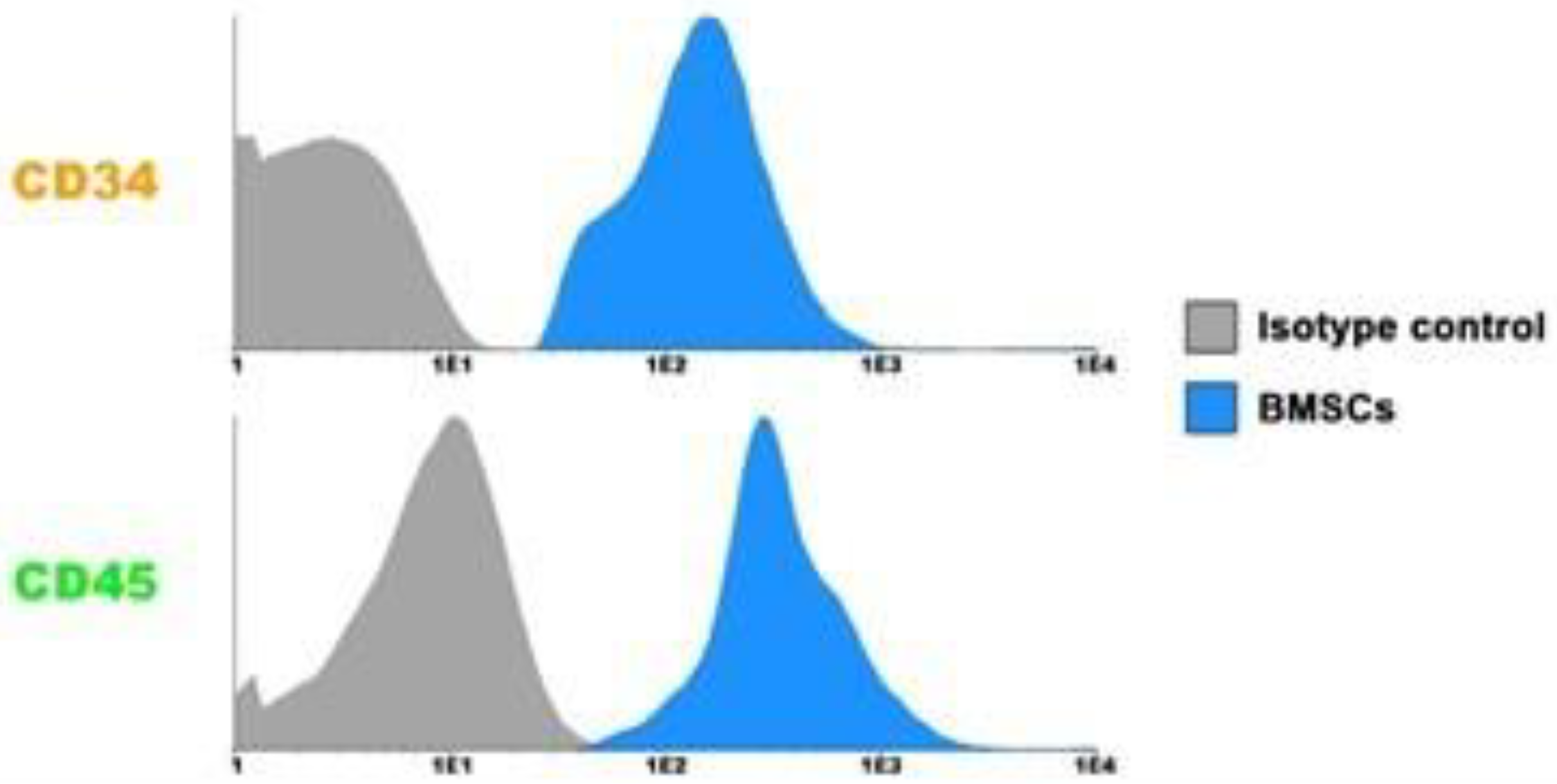 Biomedicines 11 01003 g003