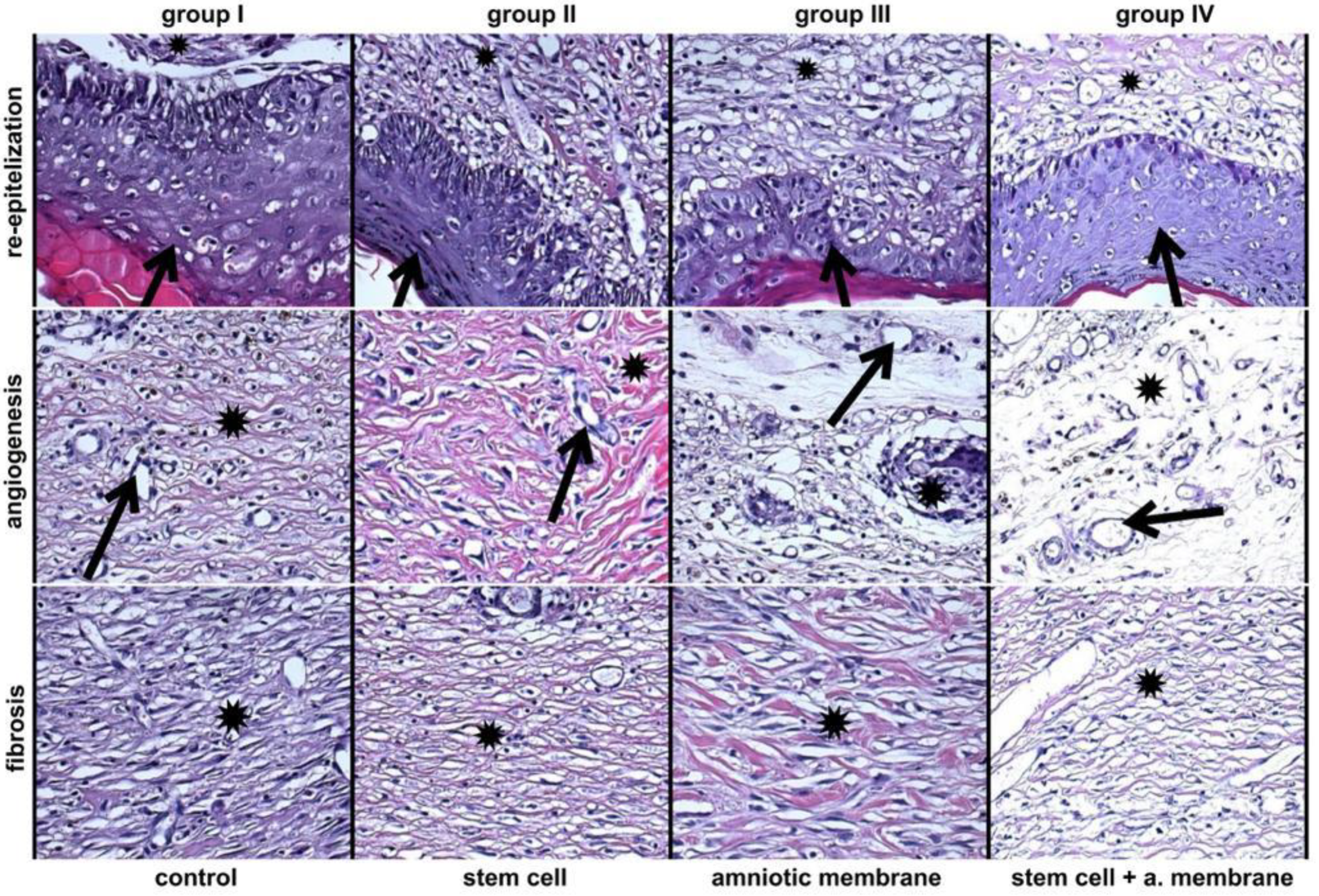 Biomedicines 11 01003 g004