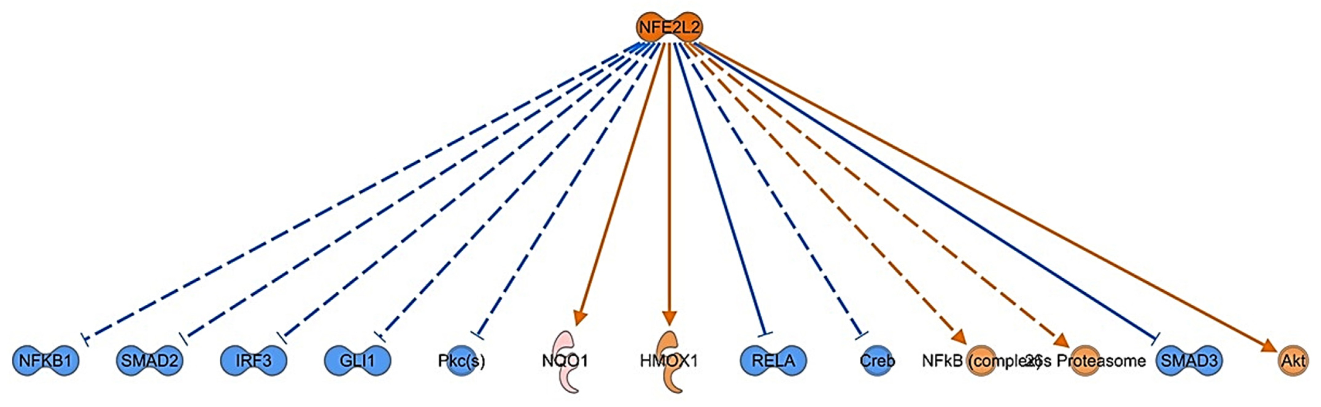 Biomedicines 11 01010 g006