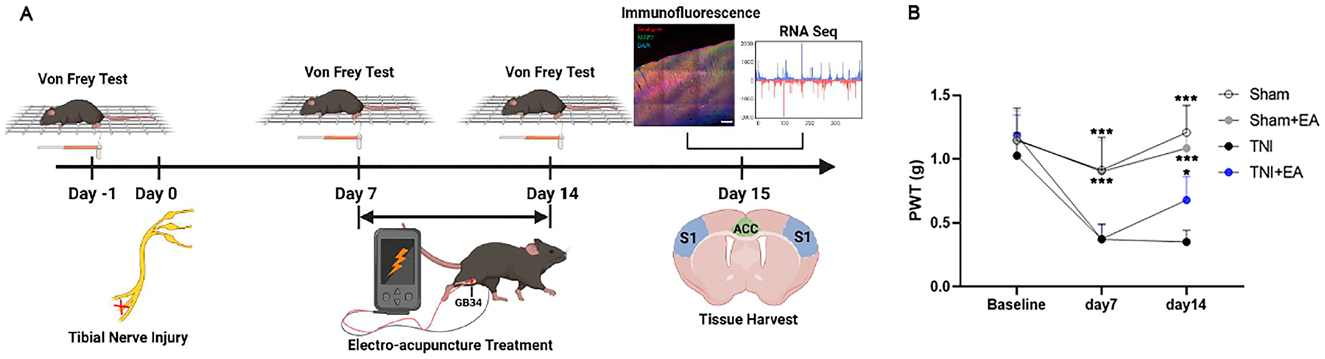 Biomedicines 11 01030 g001 Biomedicines 11 01030 g001